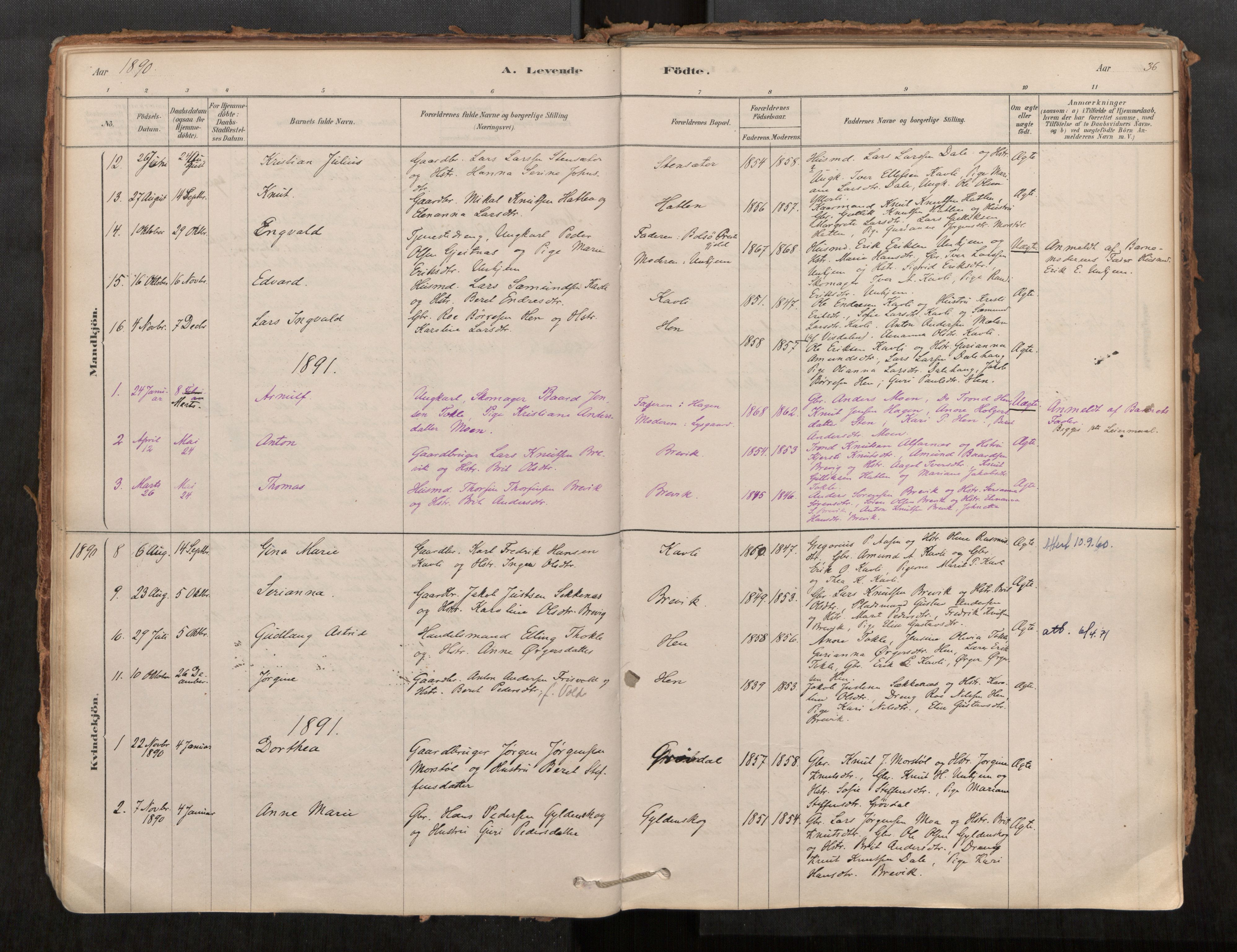 Ministerialprotokoller, klokkerbøker og fødselsregistre - Møre og Romsdal, SAT/A-1454/545/L0594: Parish register (official) no. 545A03, 1878-1920, p. 36