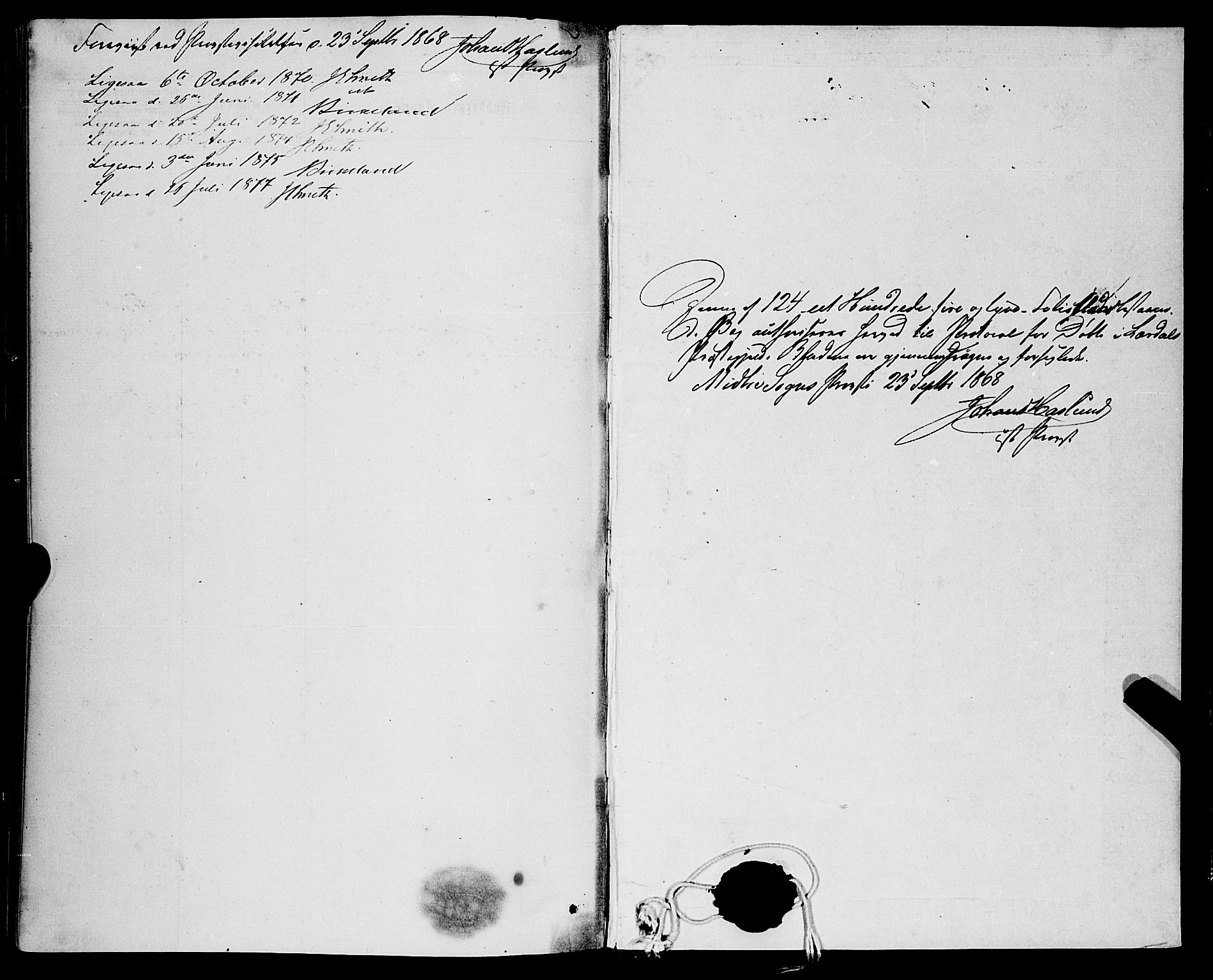 Lærdal sokneprestembete, SAB/A-81201: Parish register (official) no. A 12, 1867-1877