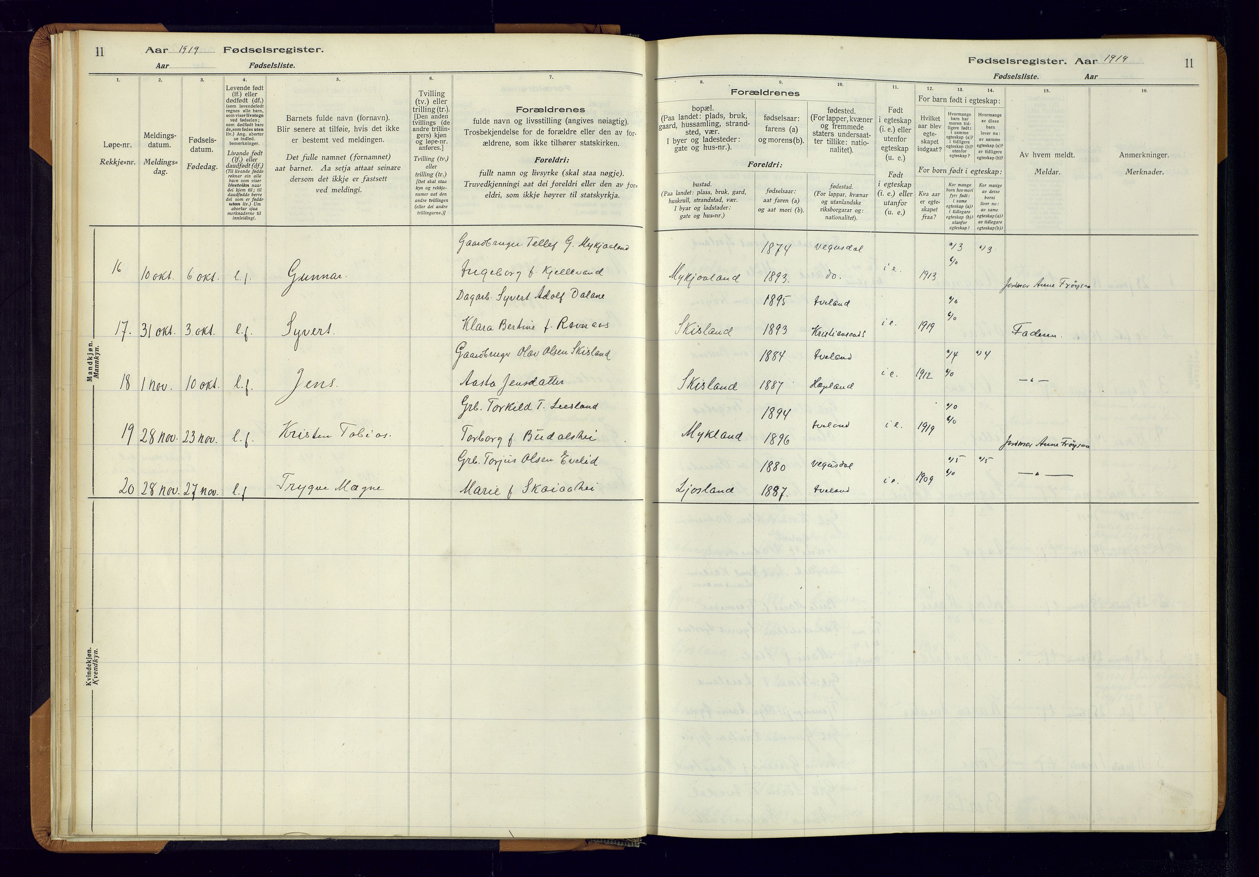 Evje sokneprestkontor, AV/SAK-1111-0008/J/Jc/L0003: Birth register no. II.4.3, 1916-1982, p. 11