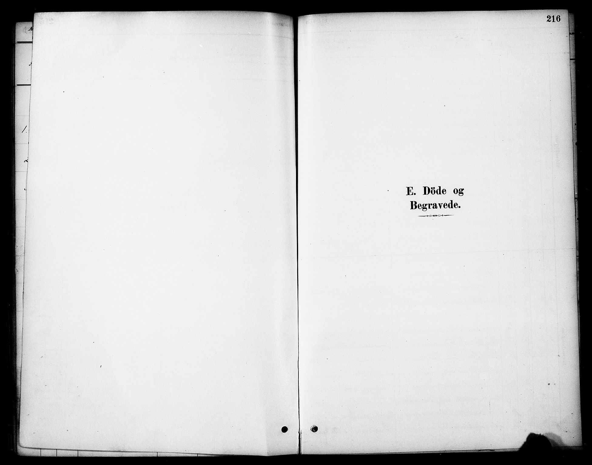 Tynset prestekontor, SAH/PREST-058/H/Ha/Hab/L0006: Parish register (copy) no. 6, 1880-1899, p. 216