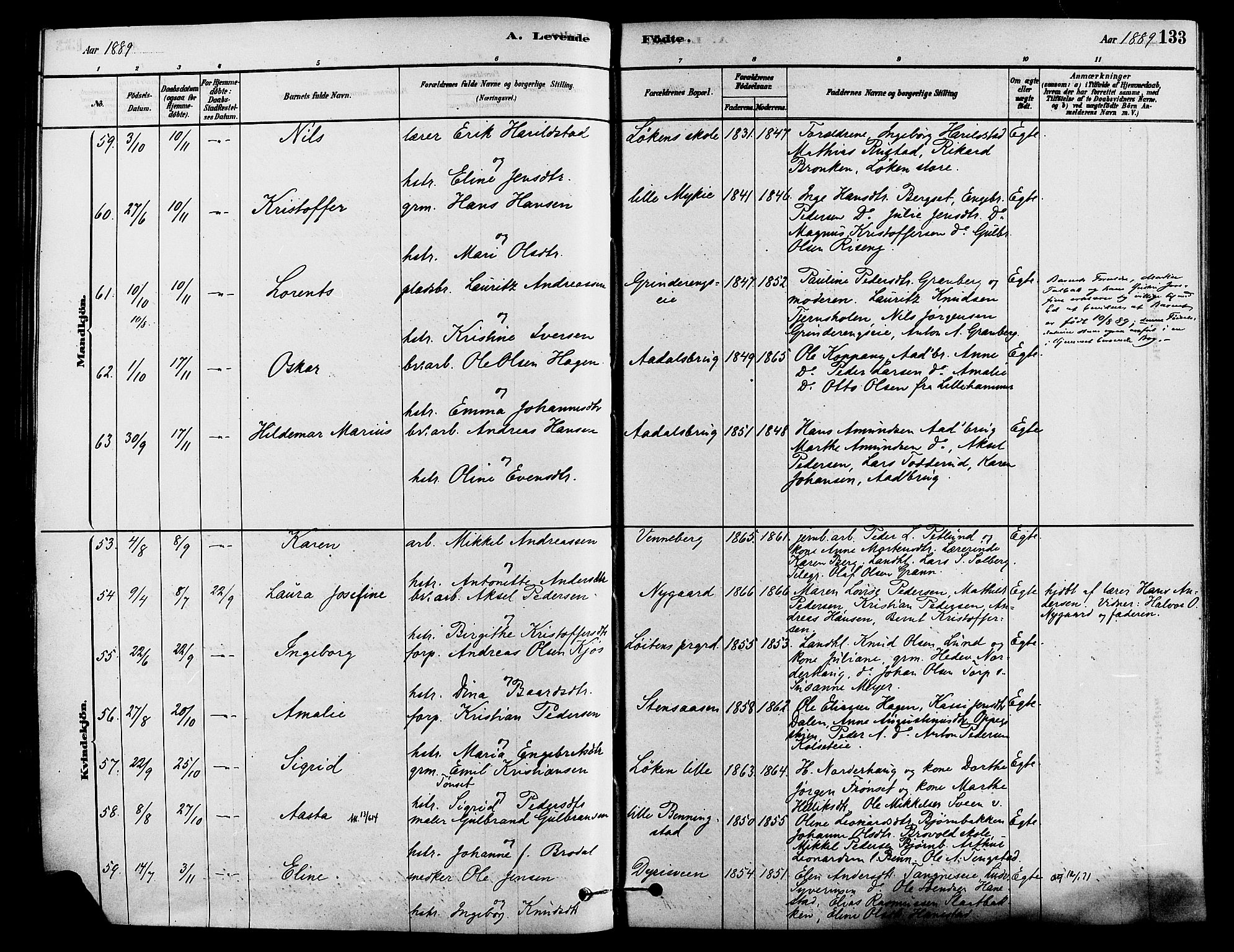 Løten prestekontor, SAH/PREST-022/K/Ka/L0009: Parish register (official) no. 9, 1878-1891, p. 133
