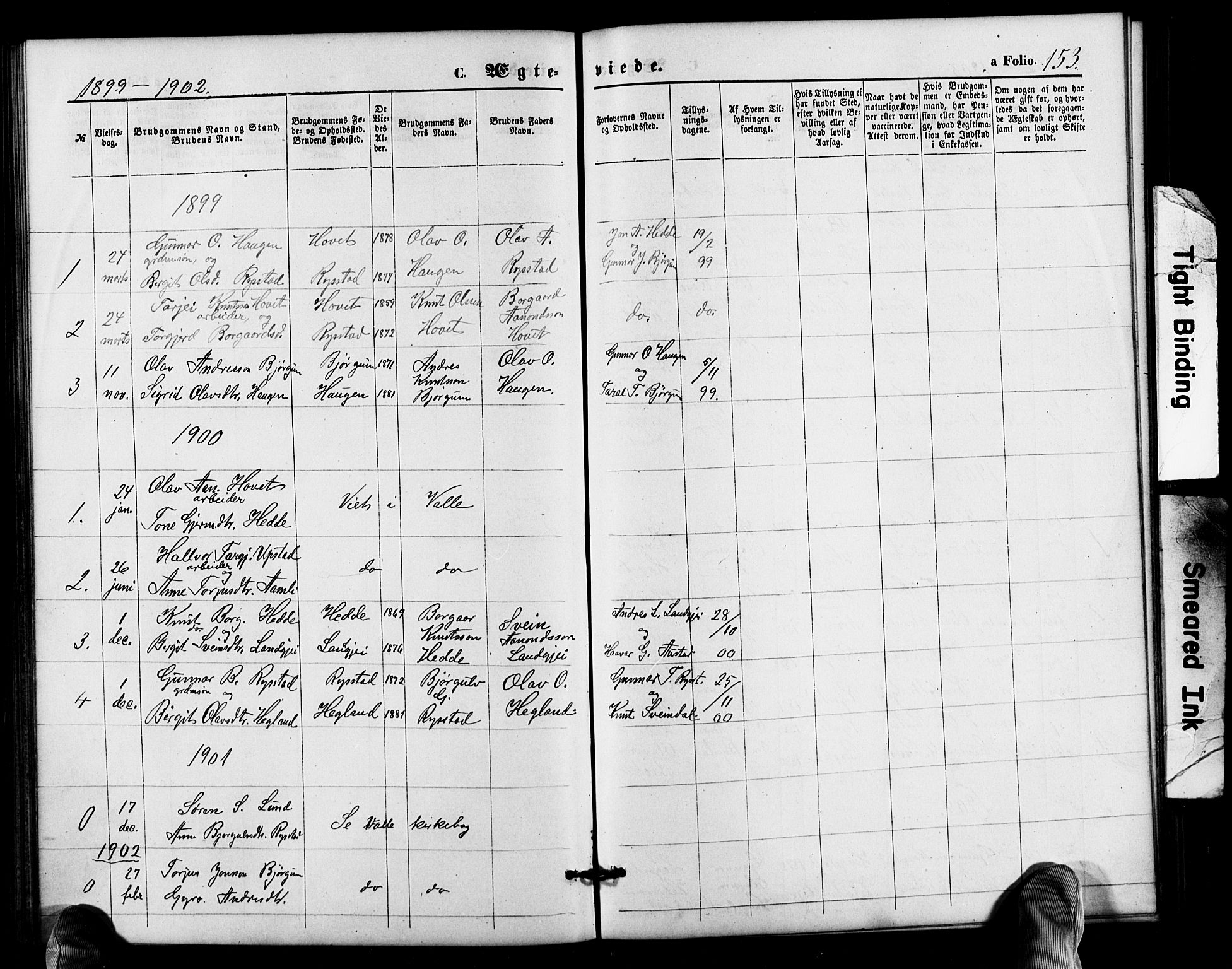 Valle sokneprestkontor, SAK/1111-0044/F/Fb/Fbb/L0002: Parish register (copy) no. B 2, 1875-1921, p. 153