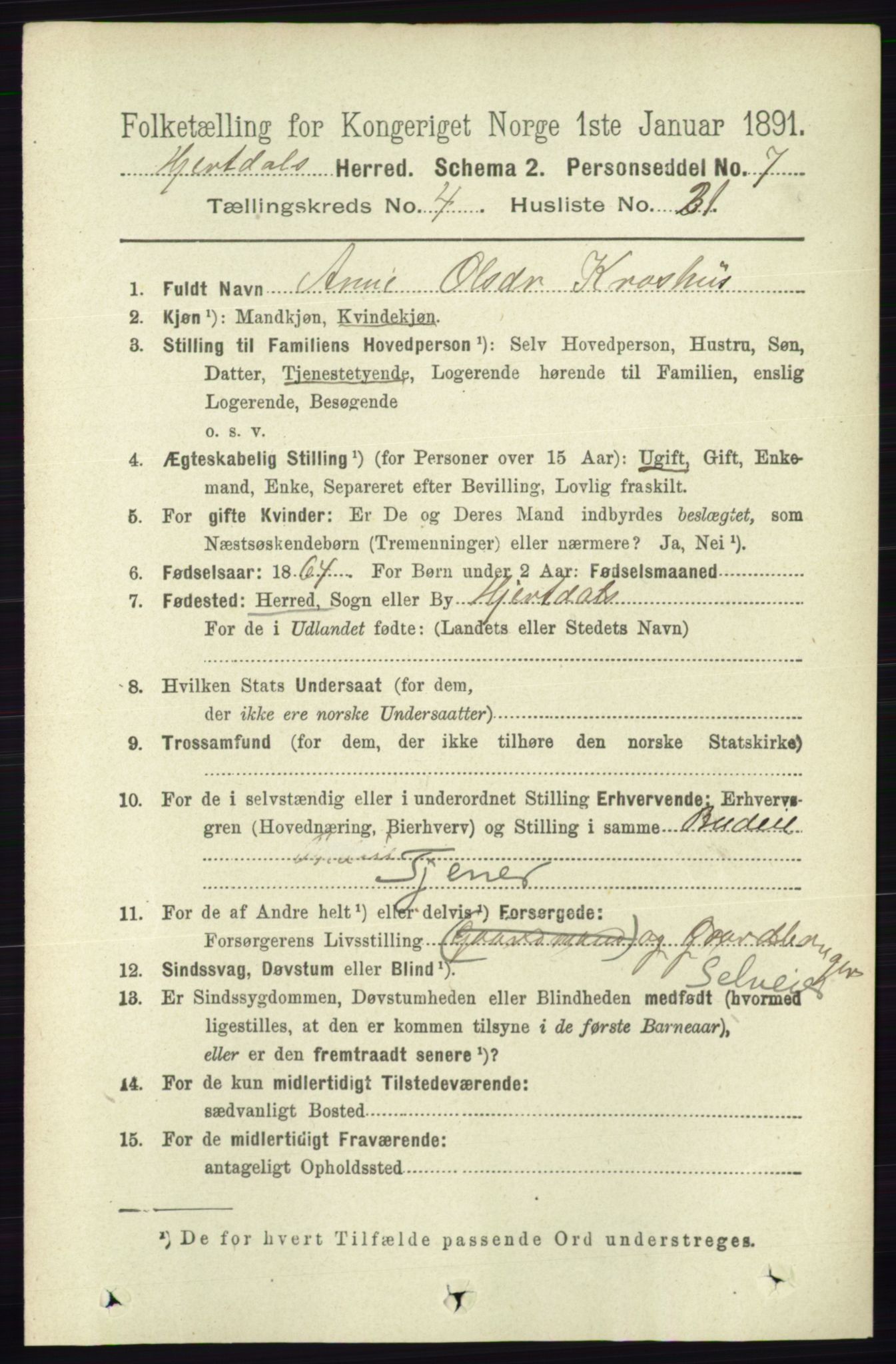 RA, 1891 census for 0827 Hjartdal, 1891, p. 1565