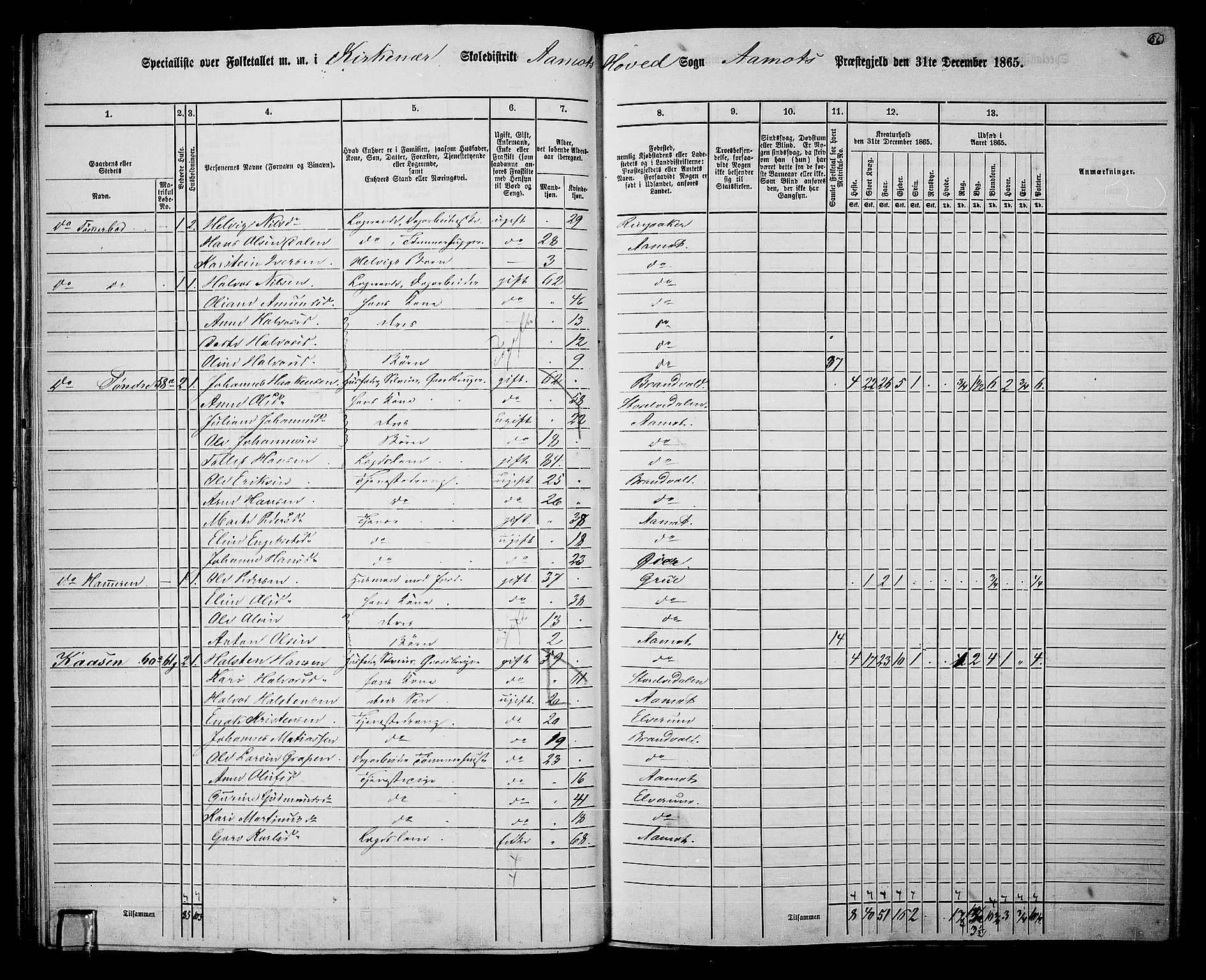 RA, 1865 census for Åmot, 1865, p. 53