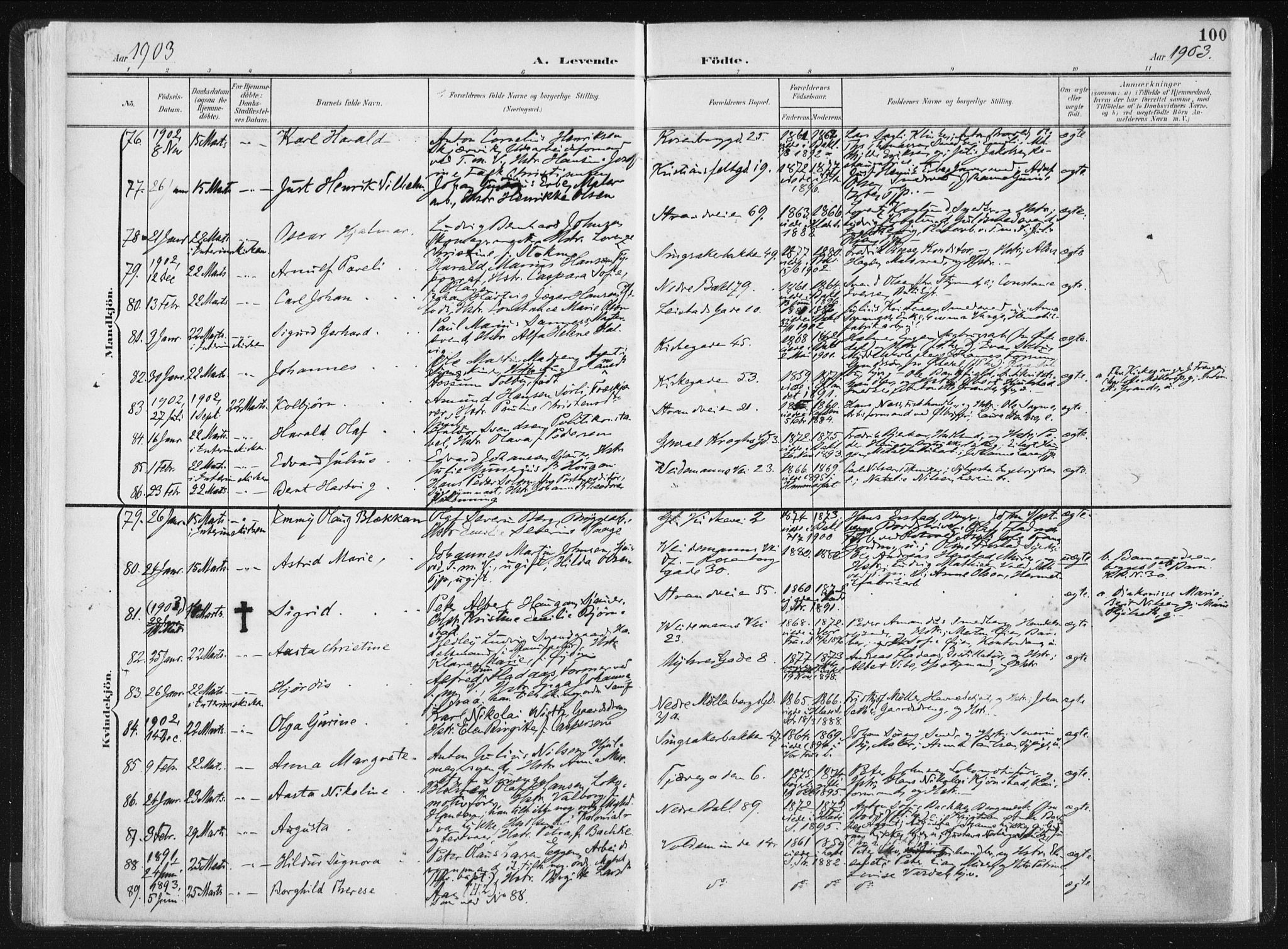 Ministerialprotokoller, klokkerbøker og fødselsregistre - Sør-Trøndelag, SAT/A-1456/604/L0199: Parish register (official) no. 604A20I, 1901-1906, p. 100