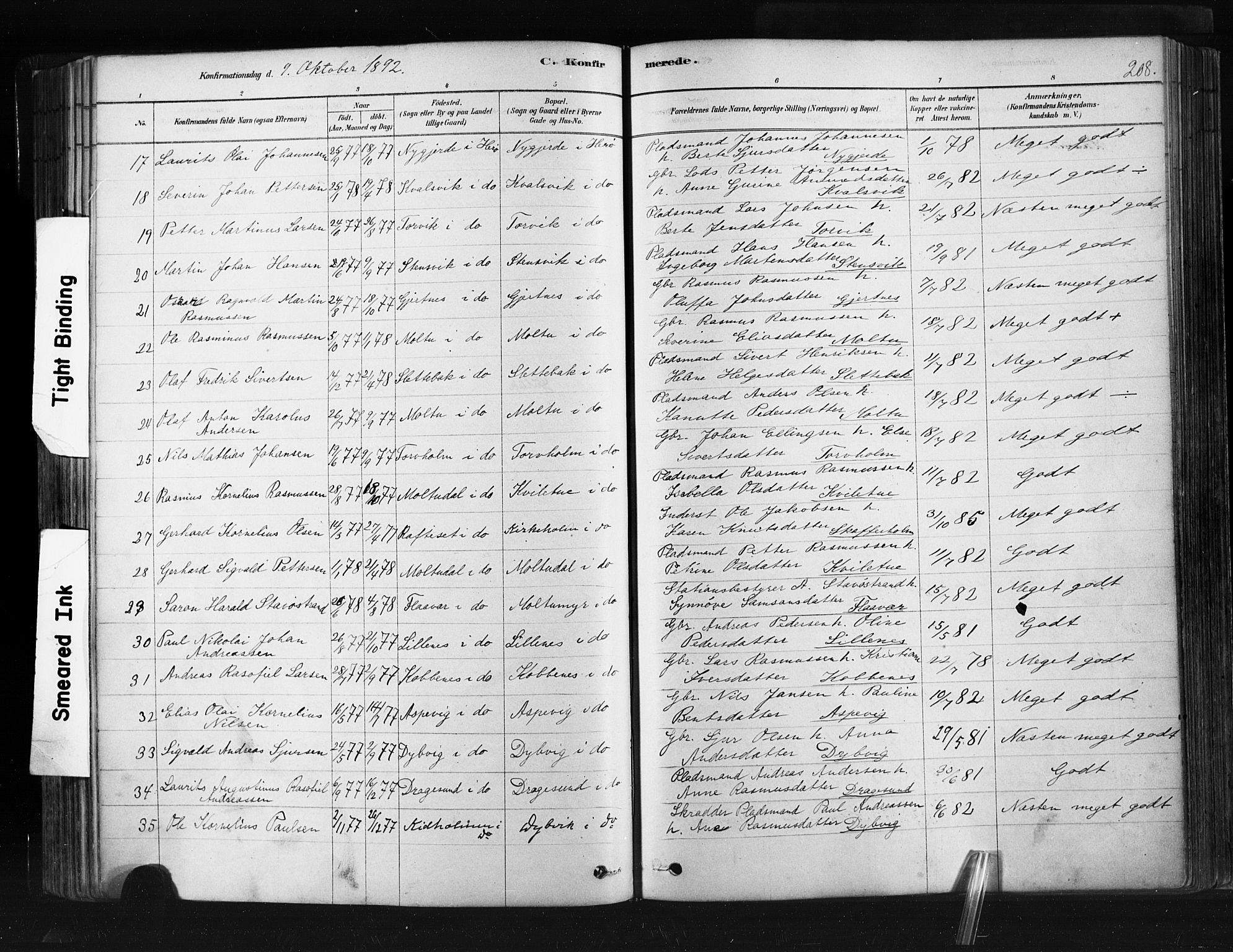 Ministerialprotokoller, klokkerbøker og fødselsregistre - Møre og Romsdal, AV/SAT-A-1454/507/L0073: Parish register (official) no. 507A08, 1878-1904, p. 208