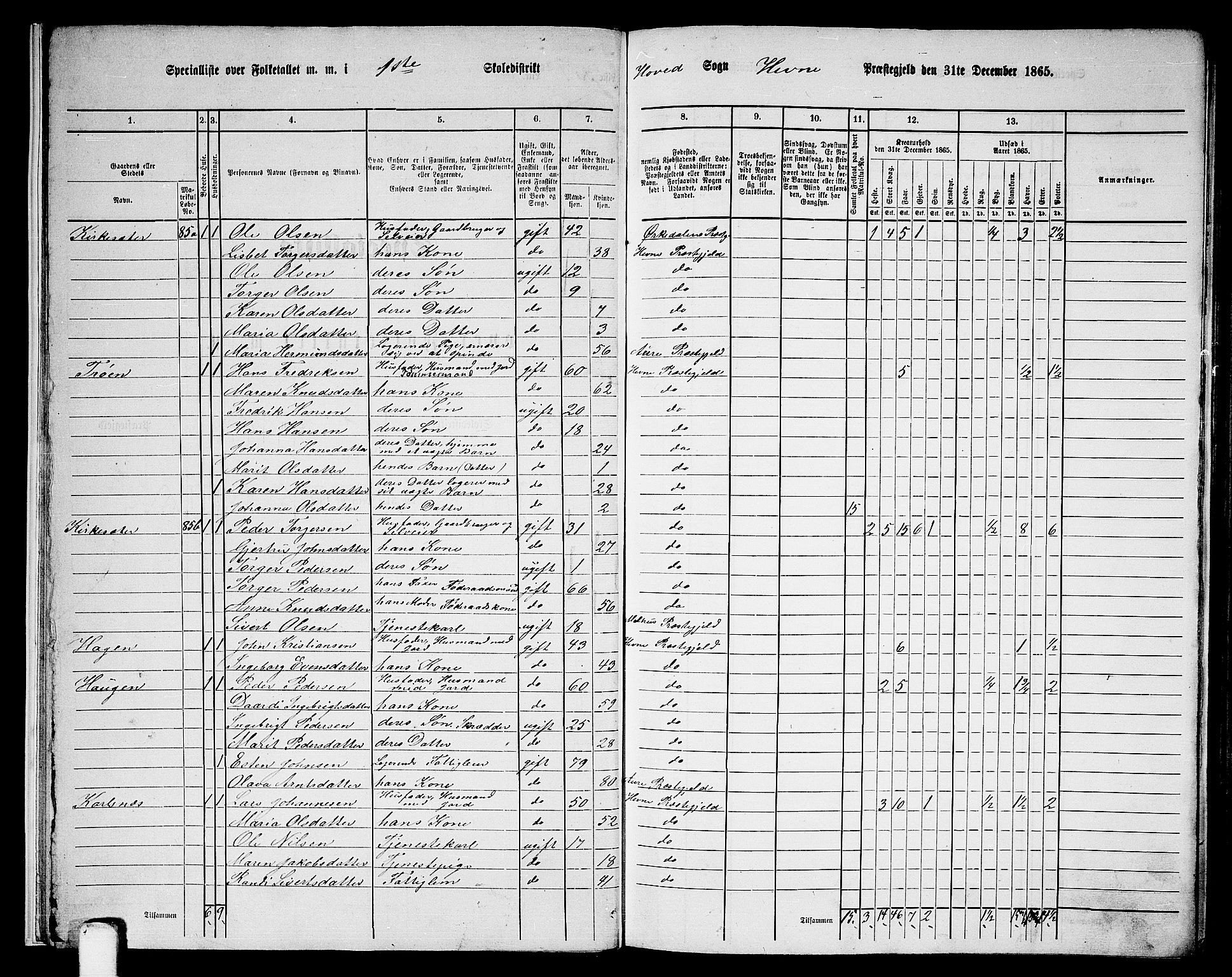 RA, 1865 census for Hemne, 1865, p. 14