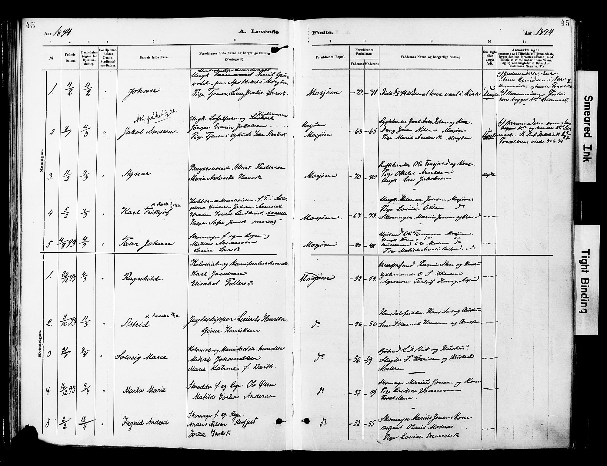 Ministerialprotokoller, klokkerbøker og fødselsregistre - Nordland, SAT/A-1459/820/L0296: Parish register (official) no. 820A17, 1880-1903, p. 45