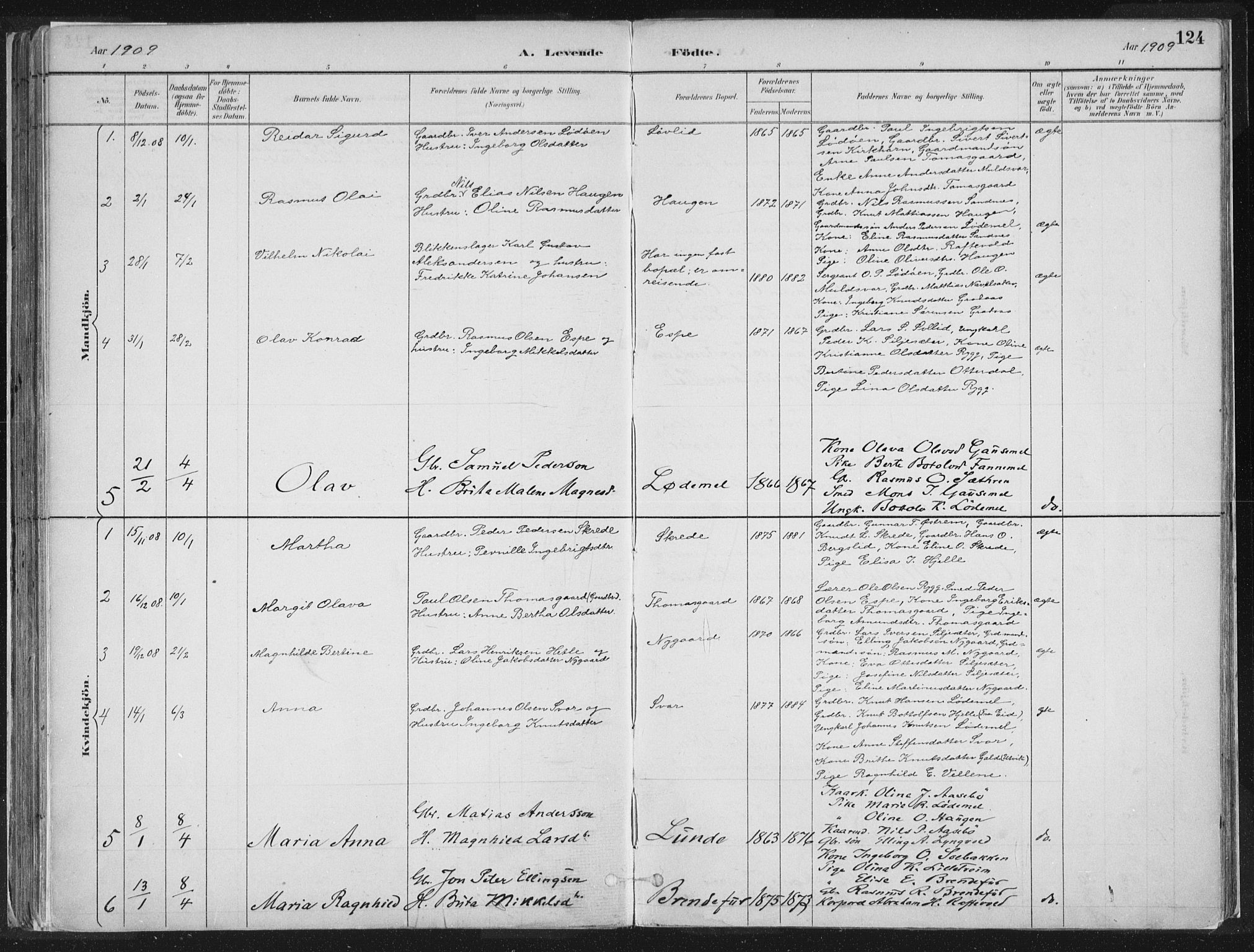Hornindal sokneprestembete, SAB/A-82401/H/Haa/Haaa/L0003/0001: Parish register (official) no. A 3A, 1887-1917, p. 124