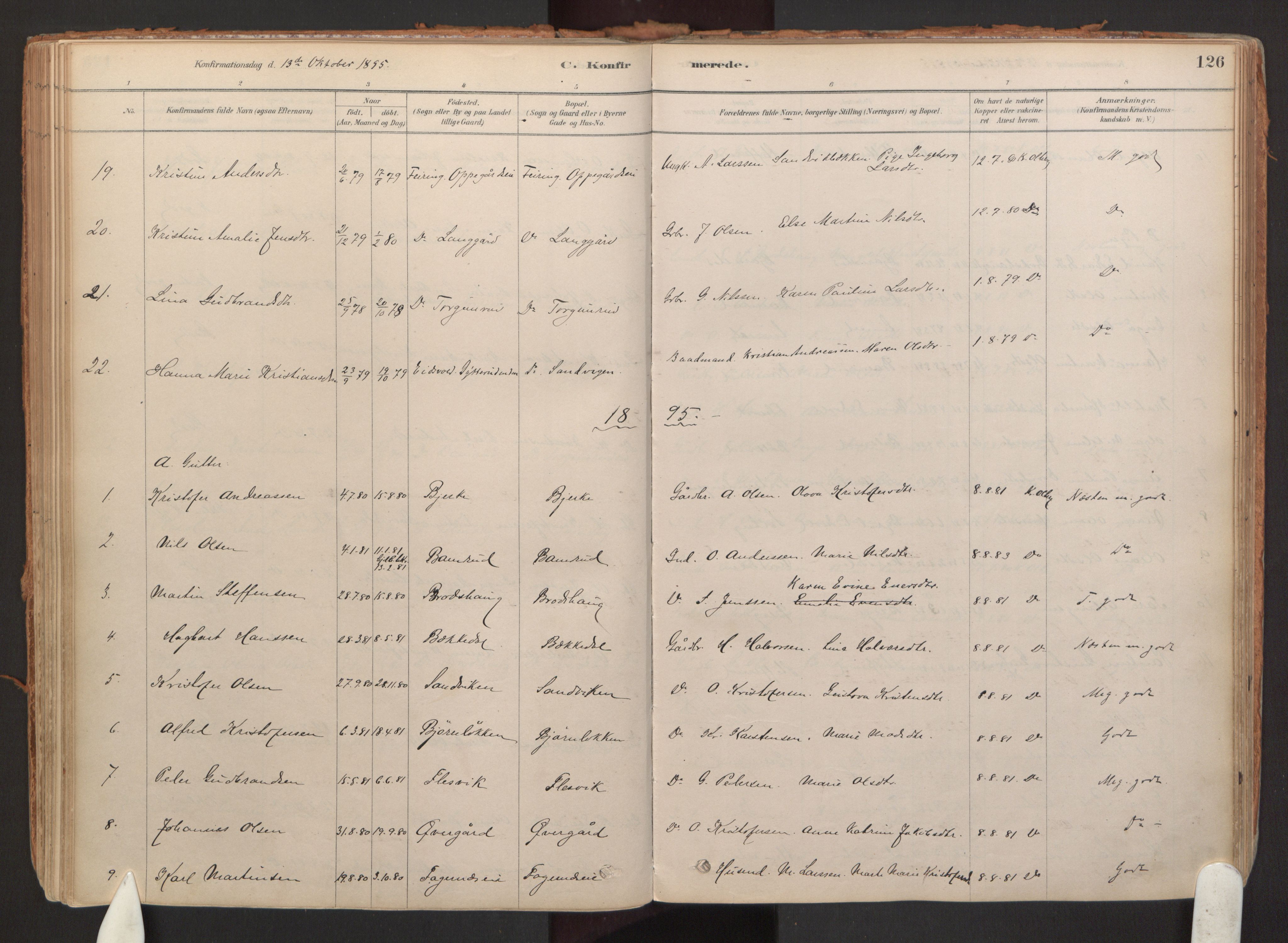 Hurdal prestekontor Kirkebøker, SAO/A-10889/F/Fb/L0003: Parish register (official) no. II 3, 1878-1920, p. 126