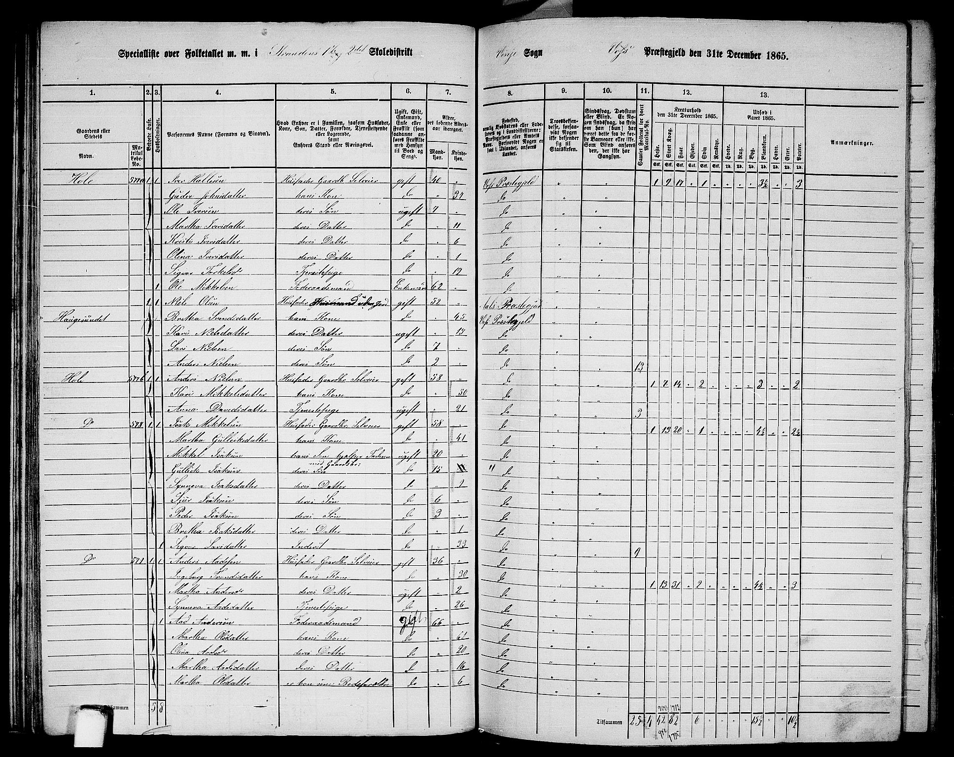 RA, 1865 census for Voss, 1865, p. 312