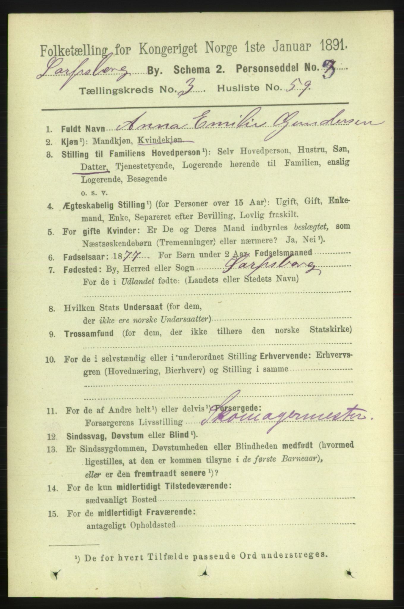 RA, 1891 census for 0102 Sarpsborg, 1891, p. 3000