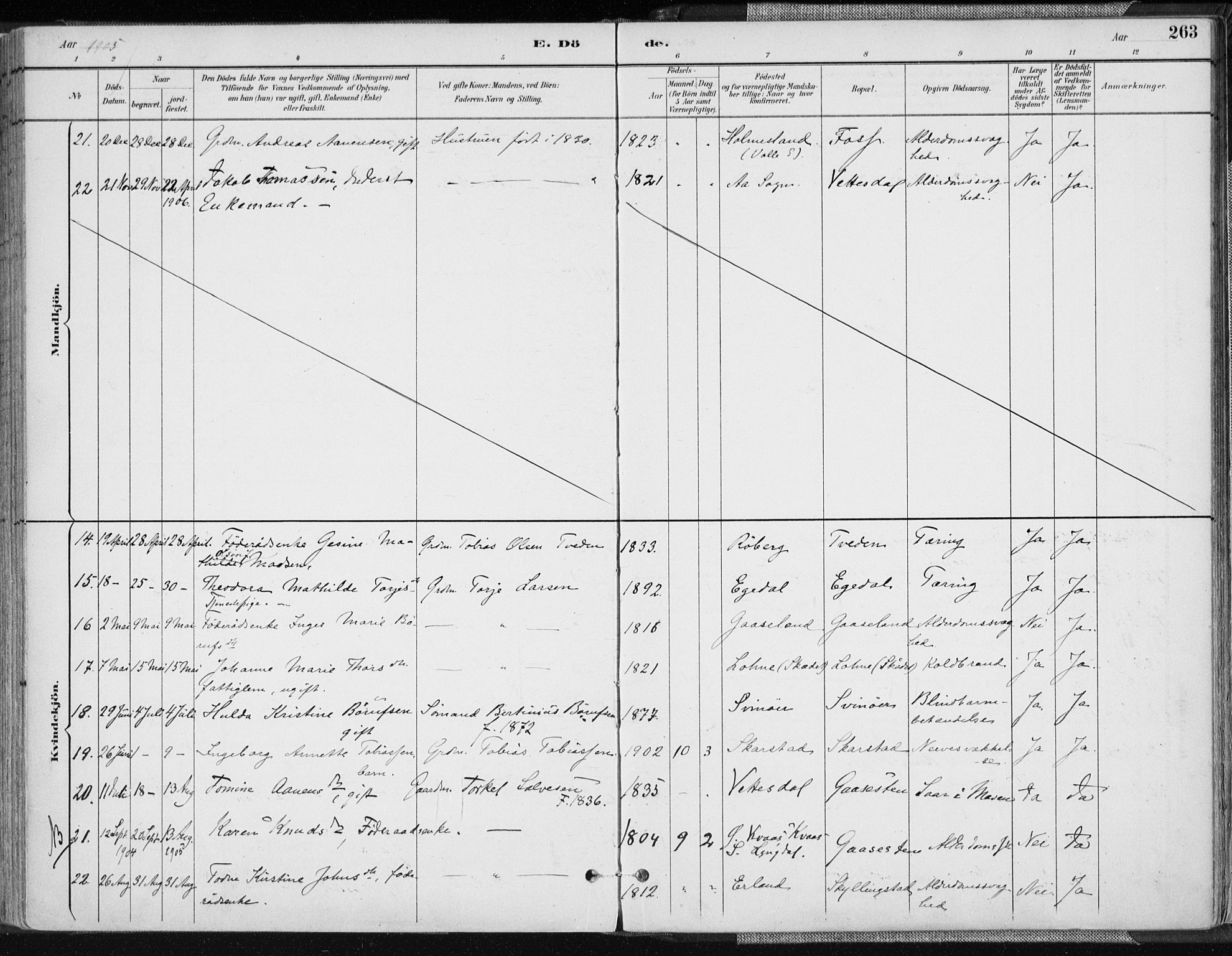 Sør-Audnedal sokneprestkontor, AV/SAK-1111-0039/F/Fa/Fab/L0010: Parish register (official) no. A 10, 1892-1913, p. 263