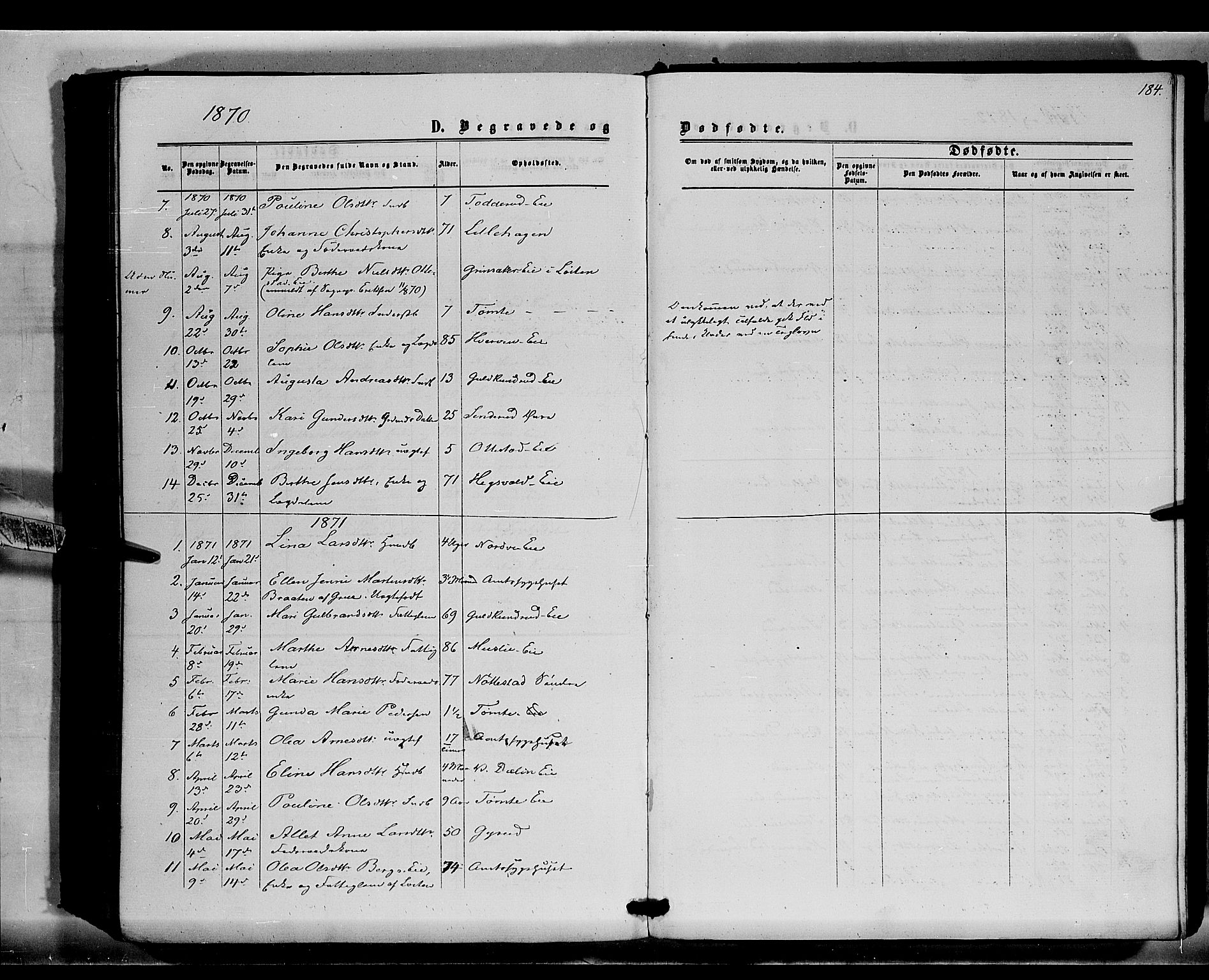 Stange prestekontor, SAH/PREST-002/K/L0015: Parish register (official) no. 15, 1862-1879, p. 184
