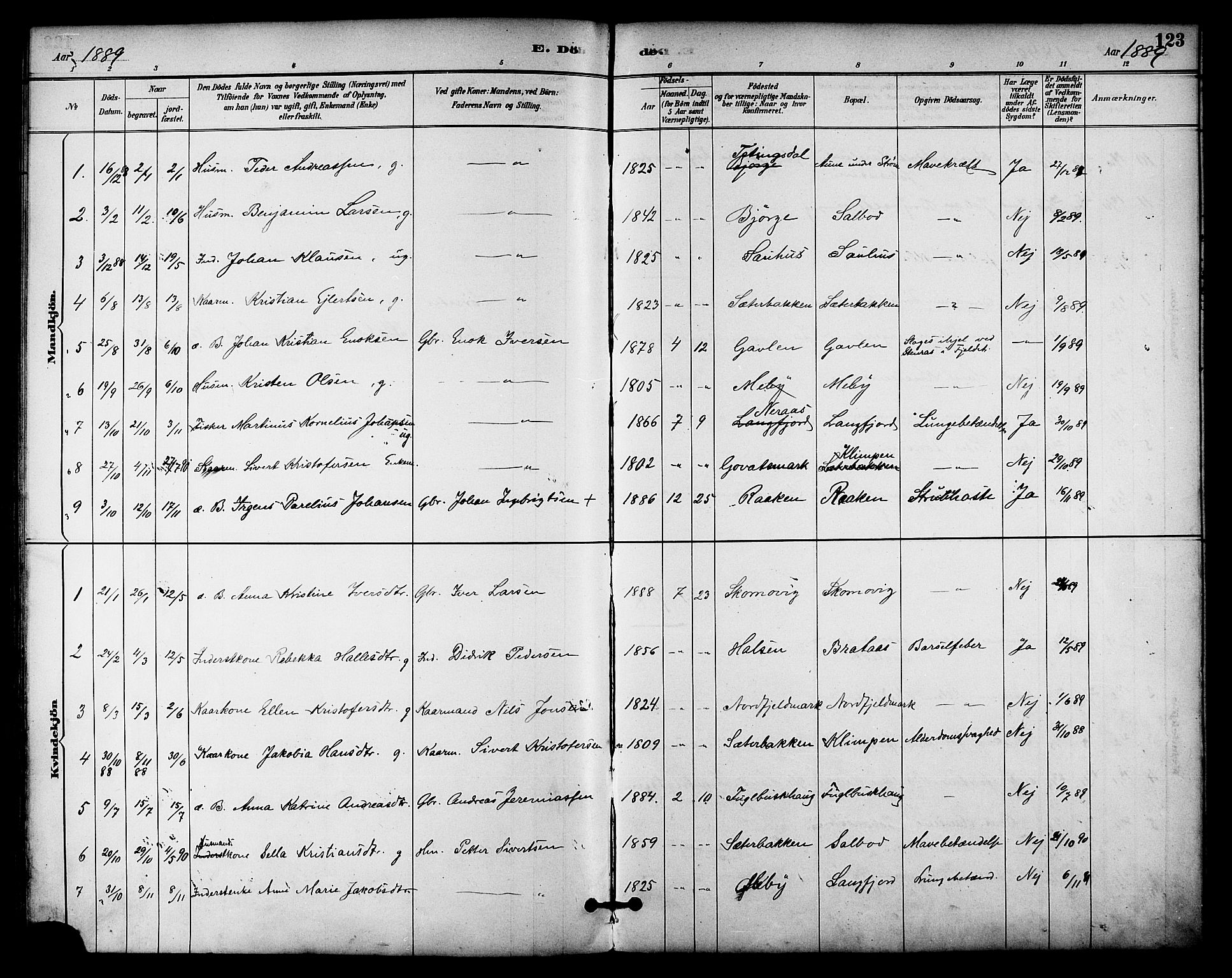 Ministerialprotokoller, klokkerbøker og fødselsregistre - Nordland, AV/SAT-A-1459/814/L0226: Parish register (official) no. 814A07, 1886-1898, p. 123