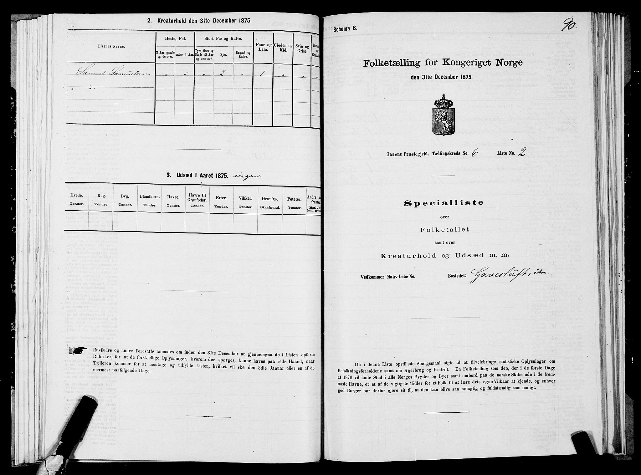 SATØ, 1875 census for 2025P Tana, 1875, p. 2090