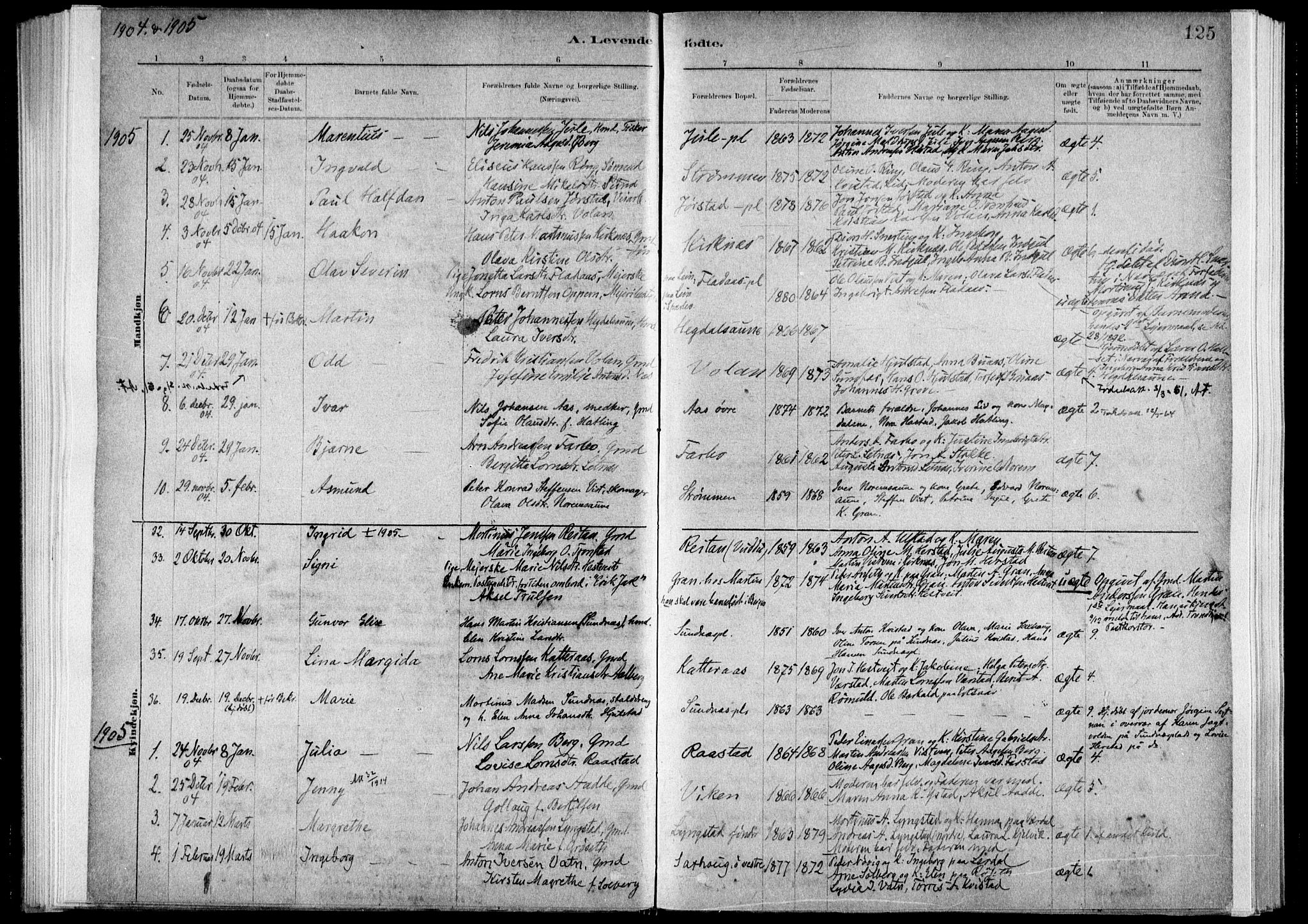 Ministerialprotokoller, klokkerbøker og fødselsregistre - Nord-Trøndelag, AV/SAT-A-1458/730/L0285: Parish register (official) no. 730A10, 1879-1914, p. 125