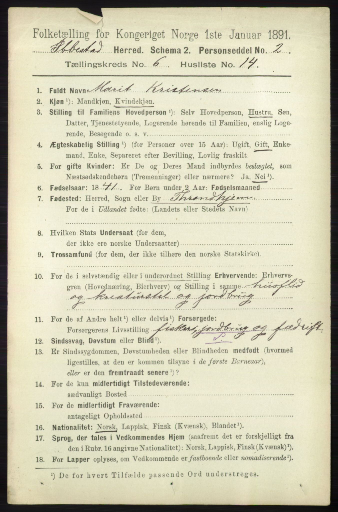 RA, 1891 census for 1917 Ibestad, 1891, p. 3650