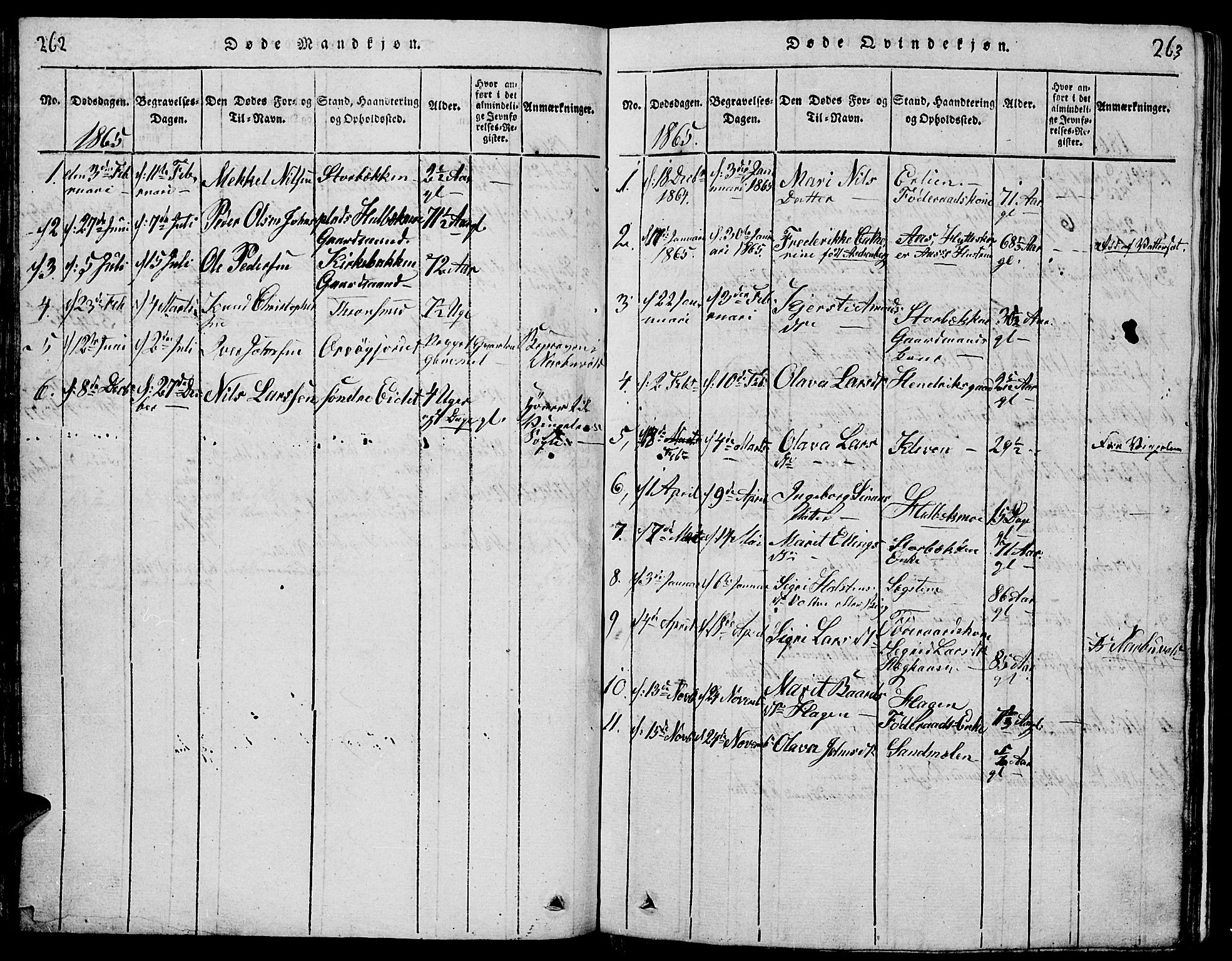 Tolga prestekontor, AV/SAH-PREST-062/L/L0001: Parish register (copy) no. 1, 1814-1877, p. 262-263