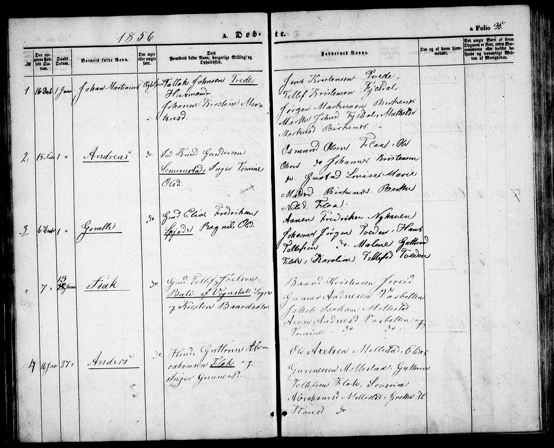 Birkenes sokneprestkontor, AV/SAK-1111-0004/F/Fb/L0002: Parish register (copy) no. B 2, 1849-1876, p. 35