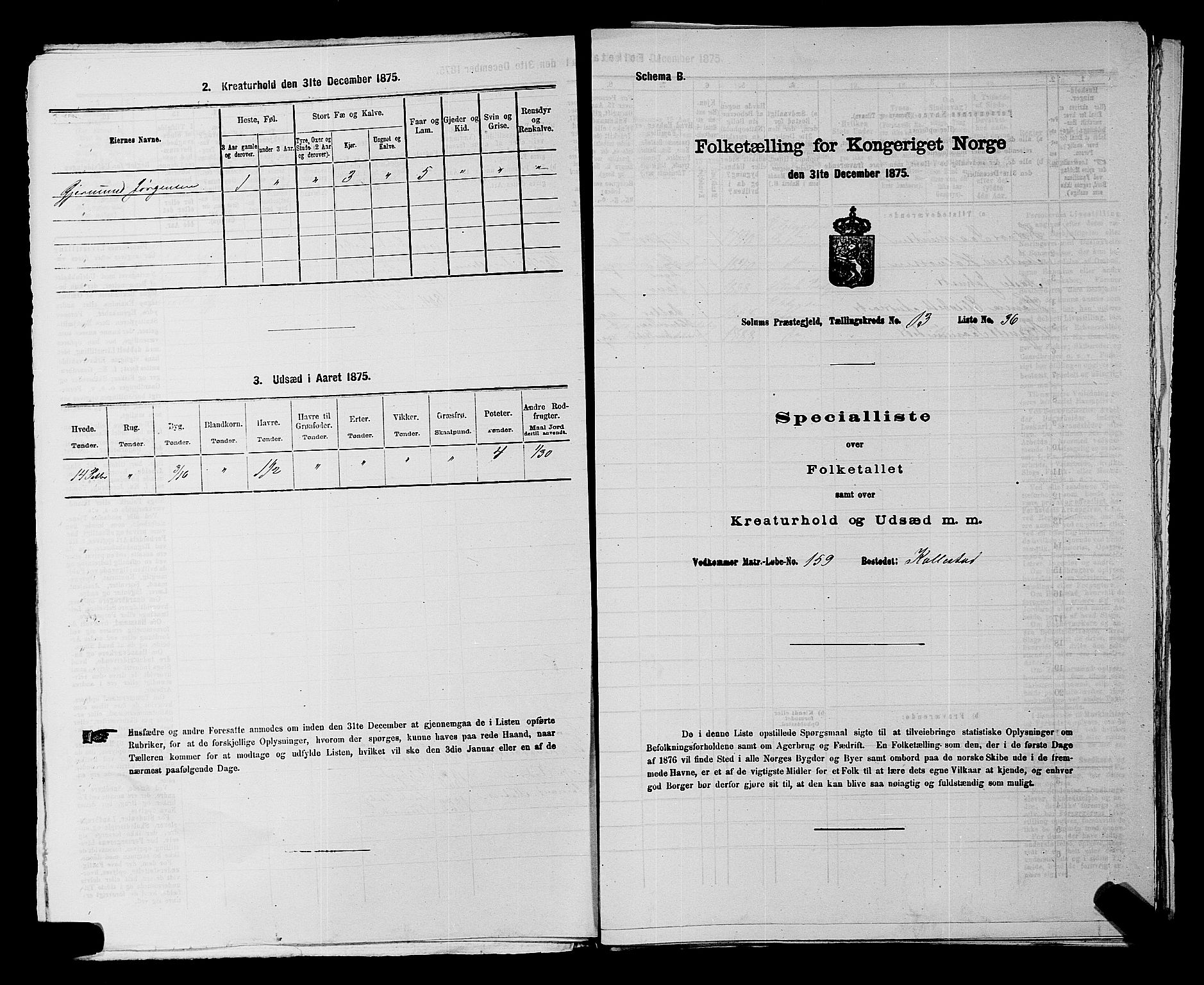 SAKO, 1875 census for 0818P Solum, 1875, p. 1890