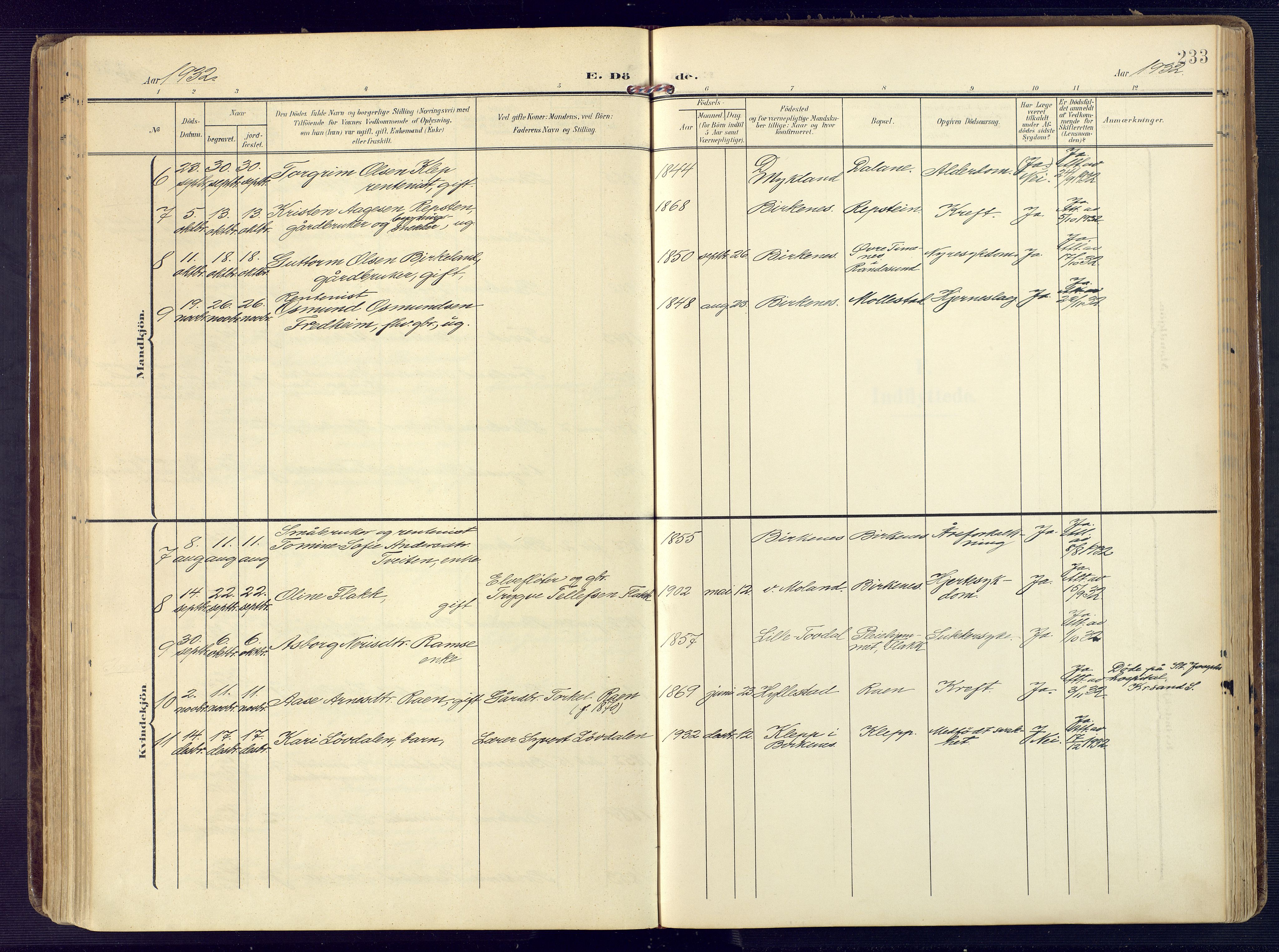 Birkenes sokneprestkontor, AV/SAK-1111-0004/F/Fa/L0006: Parish register (official) no. A 6, 1908-1932, p. 233