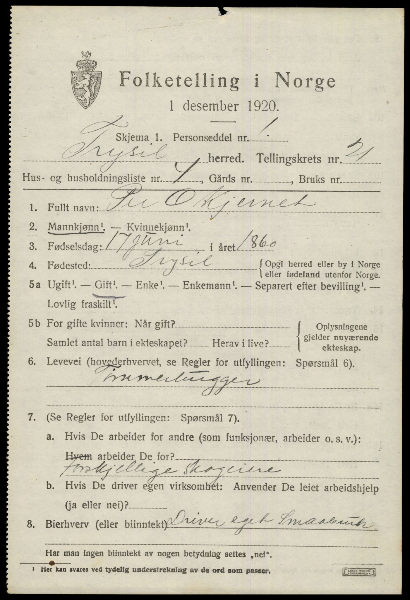 SAH, 1920 census for Trysil, 1920, p. 13797
