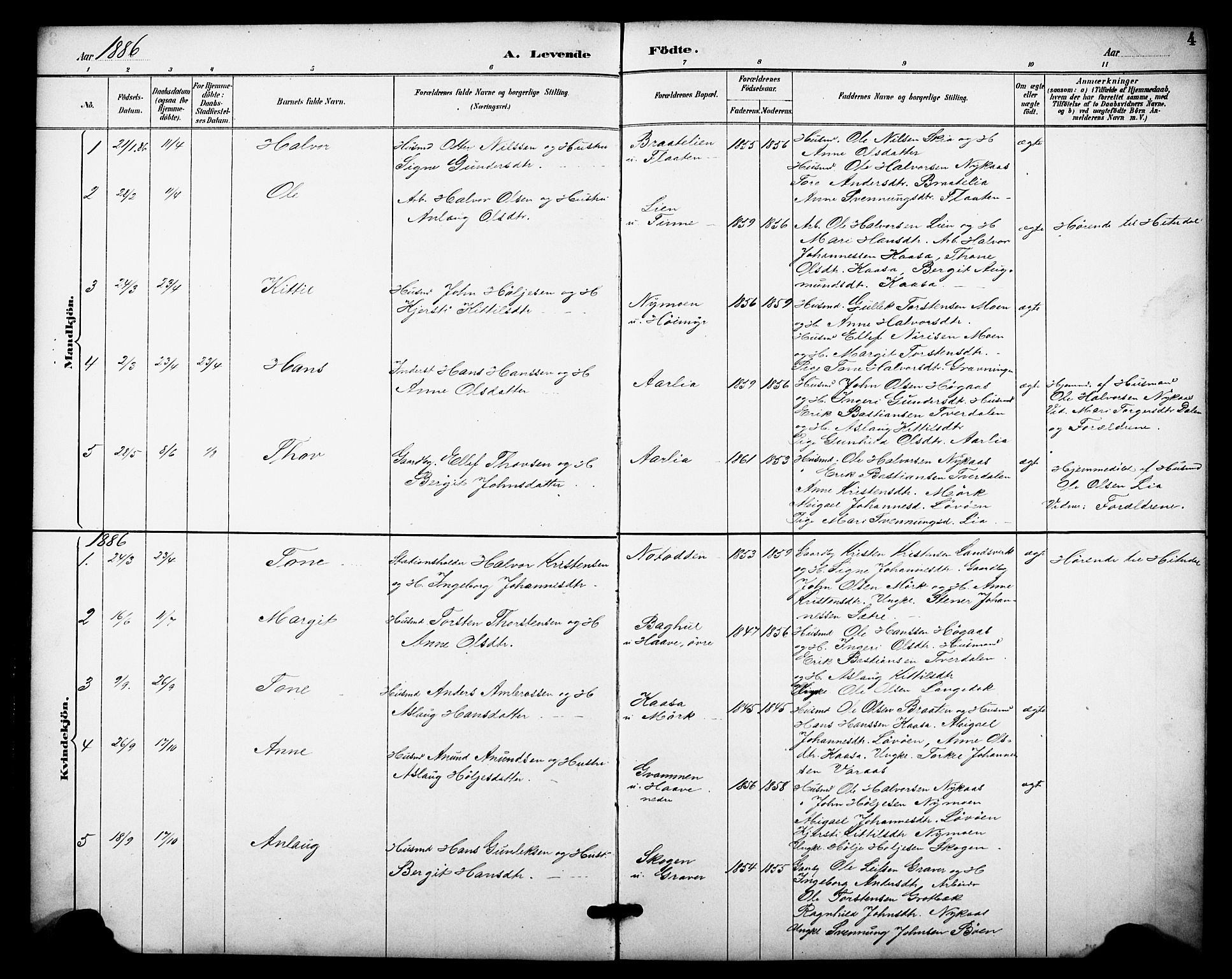 Heddal kirkebøker, SAKO/A-268/F/Fb/L0001: Parish register (official) no. II 1, 1884-1910, p. 4