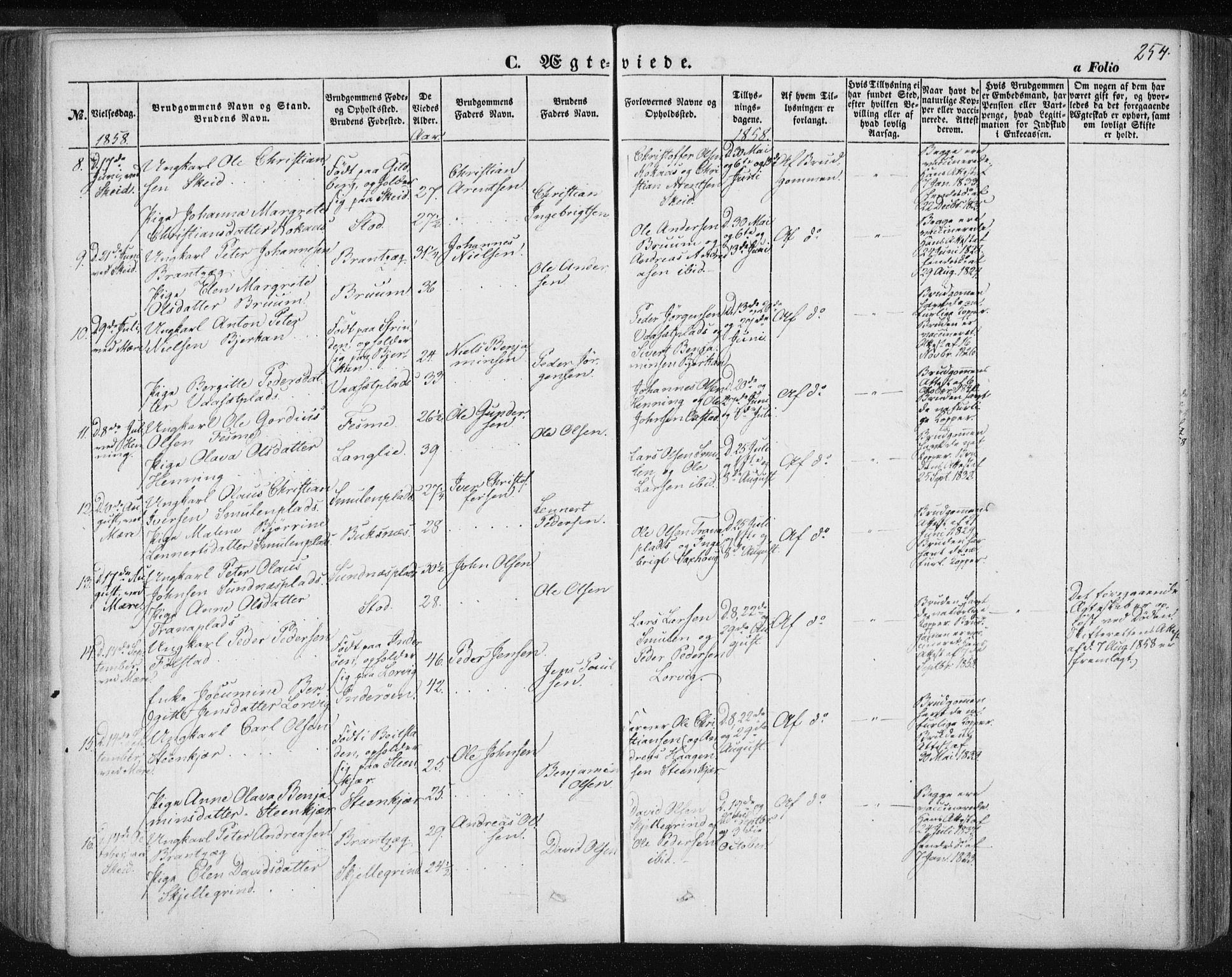 Ministerialprotokoller, klokkerbøker og fødselsregistre - Nord-Trøndelag, SAT/A-1458/735/L0342: Parish register (official) no. 735A07 /1, 1849-1862, p. 254