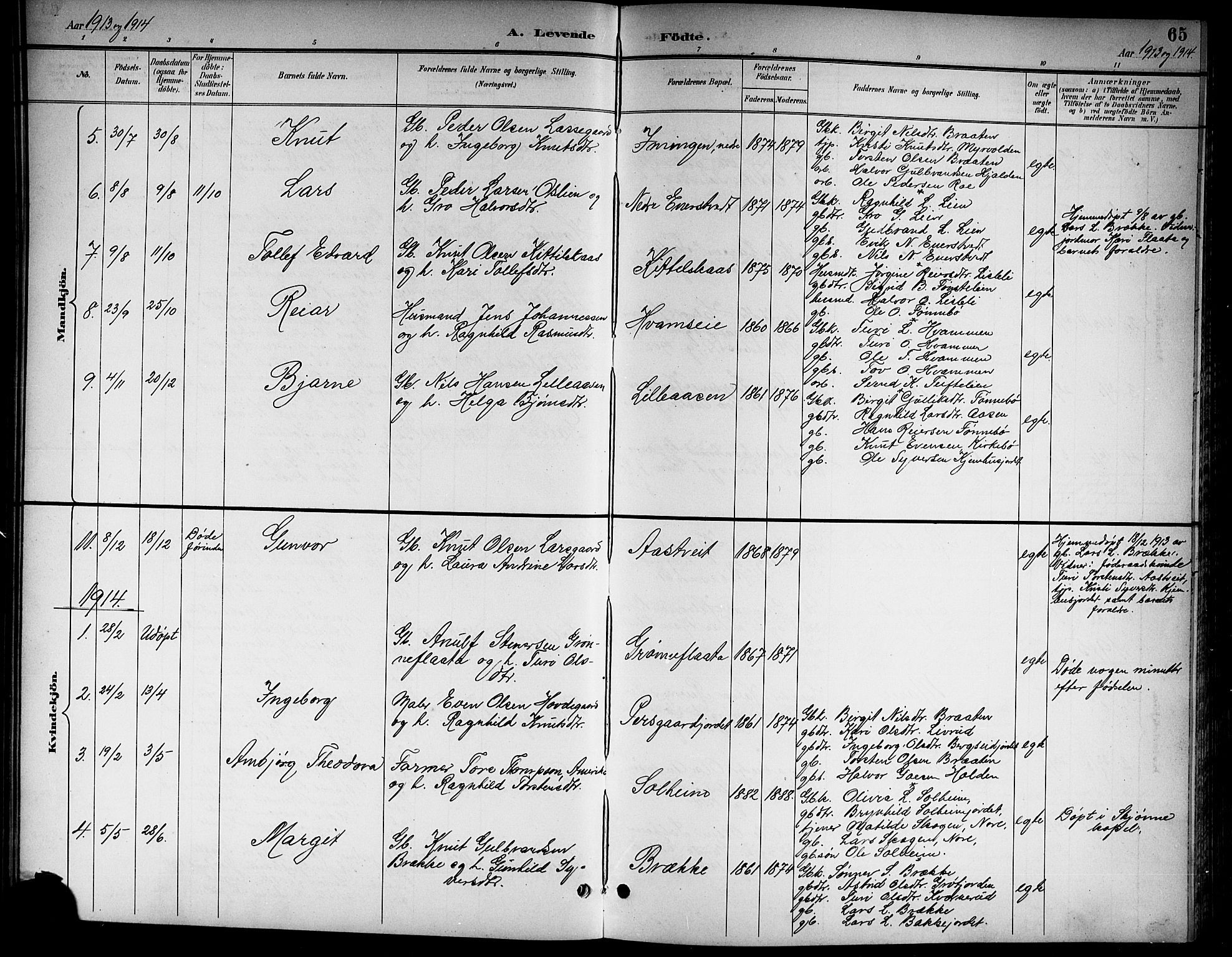 Nore kirkebøker, AV/SAKO-A-238/G/Gb/L0003: Parish register (copy) no. II 3, 1894-1923, p. 65