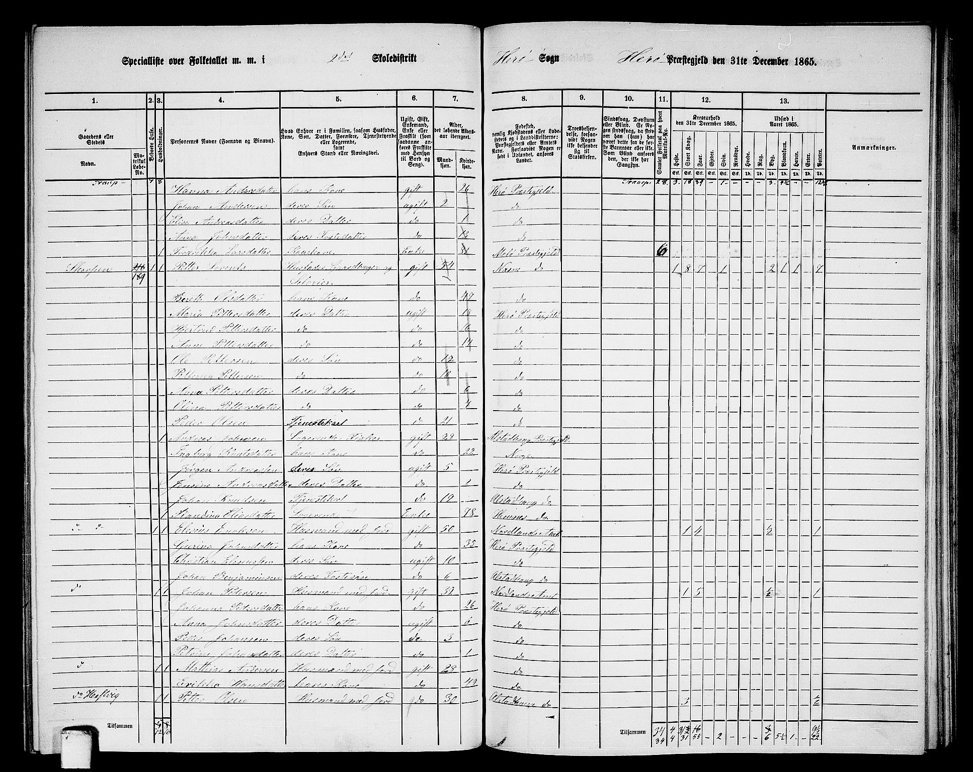 RA, 1865 census for Herøy, 1865, p. 35