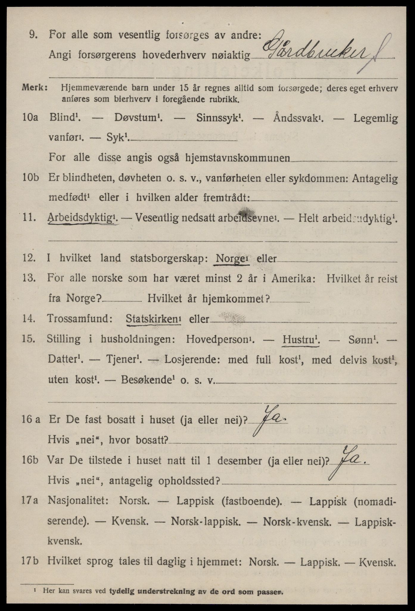 SAT, 1920 census for Selbu, 1920, p. 3203