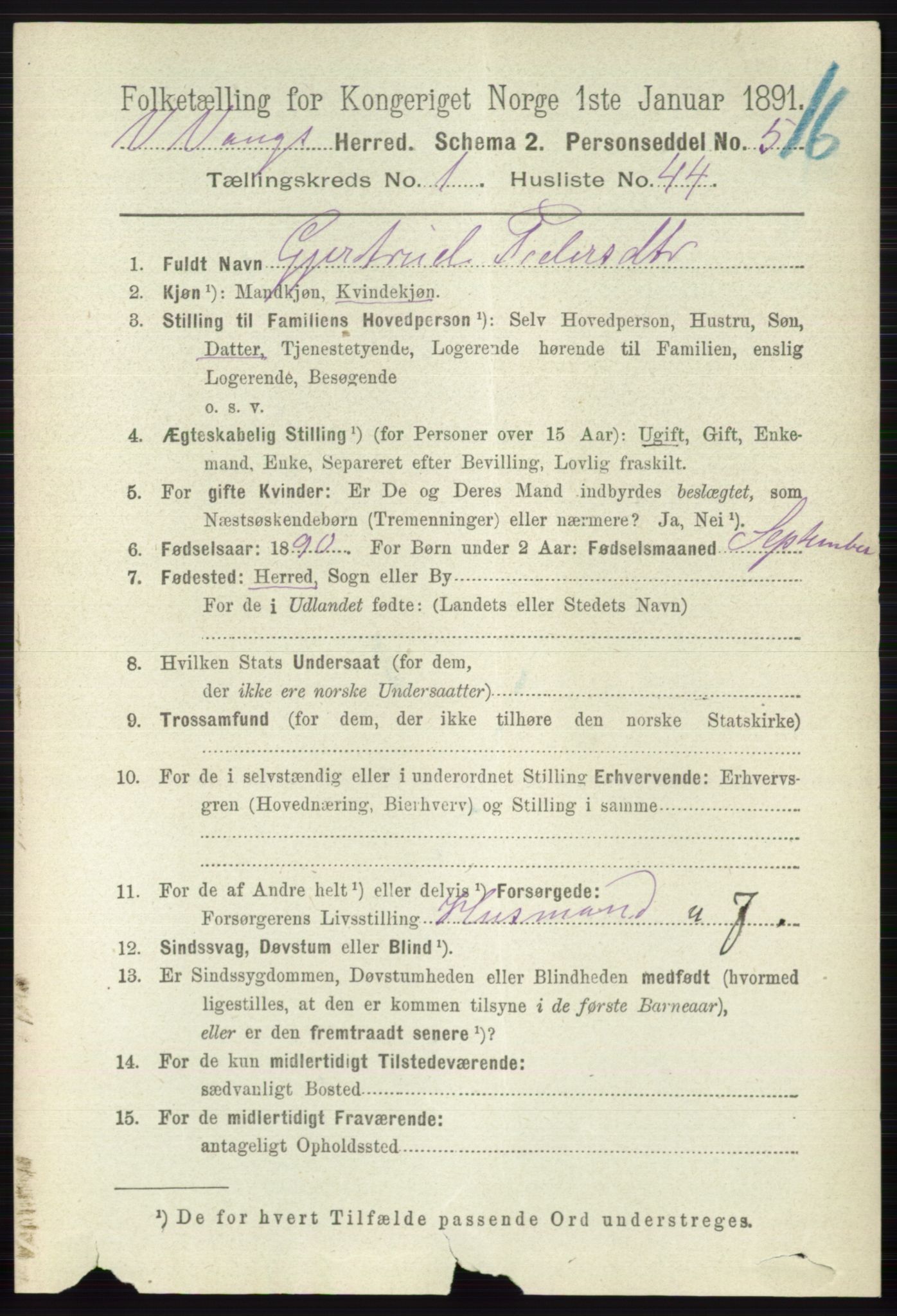 RA, 1891 census for 0545 Vang, 1891, p. 338