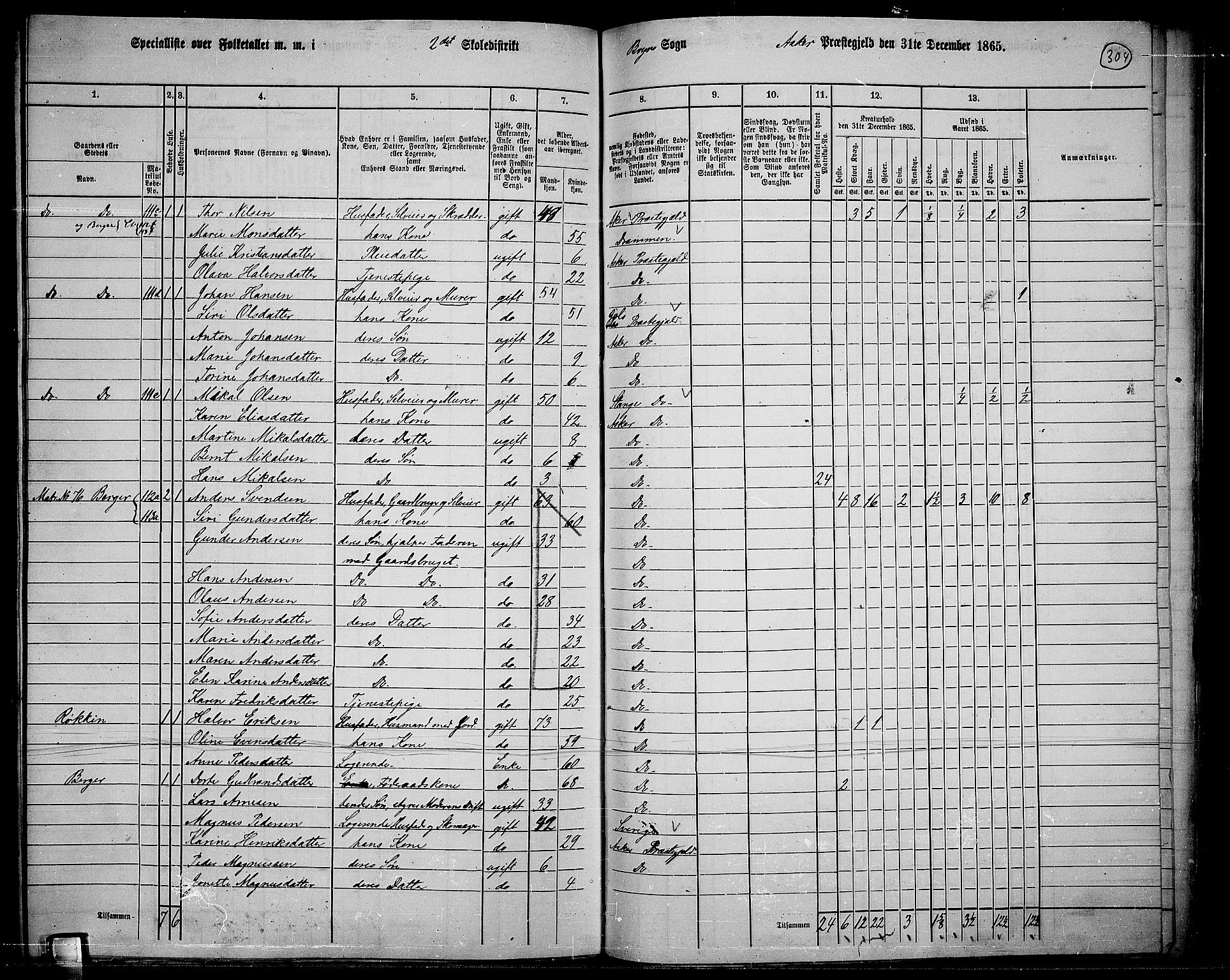 RA, 1865 census for Asker, 1865, p. 293