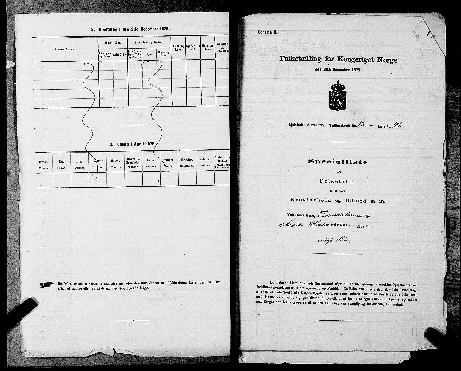 SAST, 1875 census for 1103 Stavanger, 1875, p. 2726