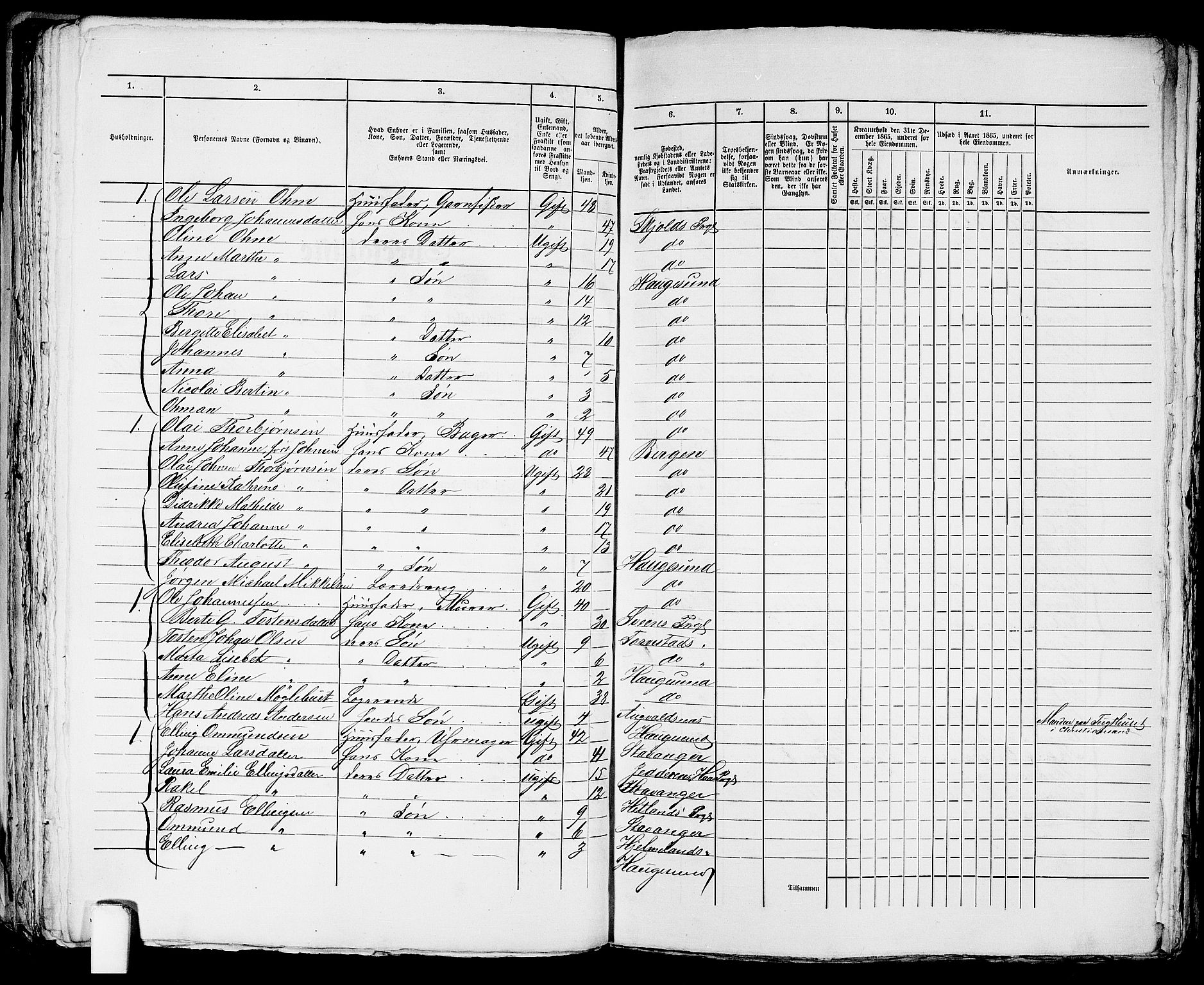 RA, 1865 census for Torvastad/Haugesund, 1865, p. 249