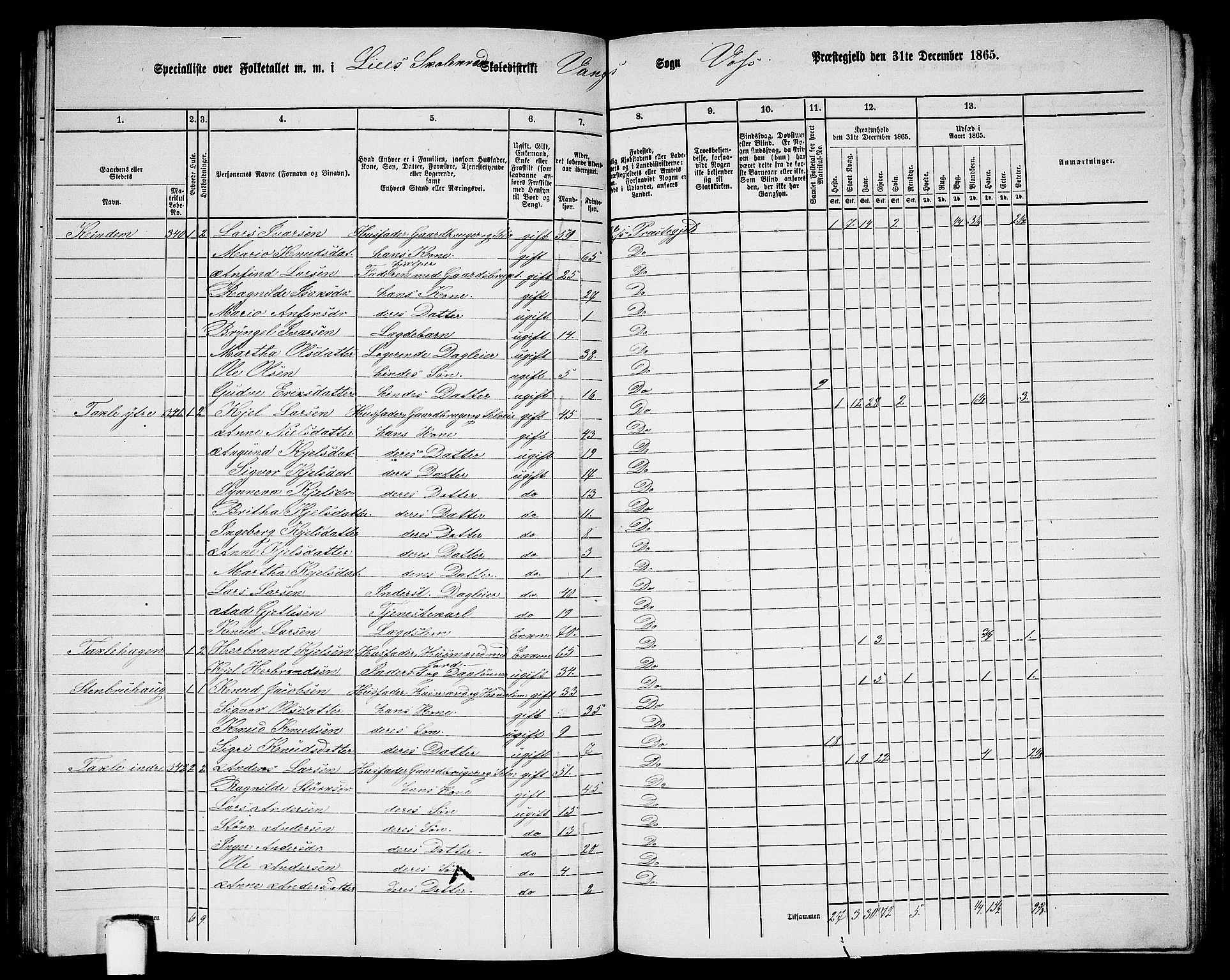 RA, 1865 census for Voss, 1865, p. 158