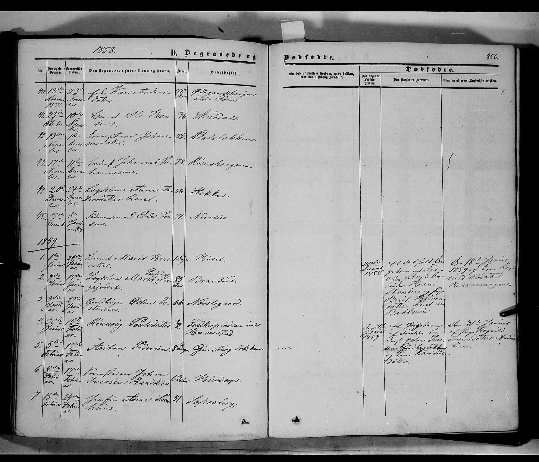 Sør-Fron prestekontor, SAH/PREST-010/H/Ha/Haa/L0001: Parish register (official) no. 1, 1849-1863, p. 356