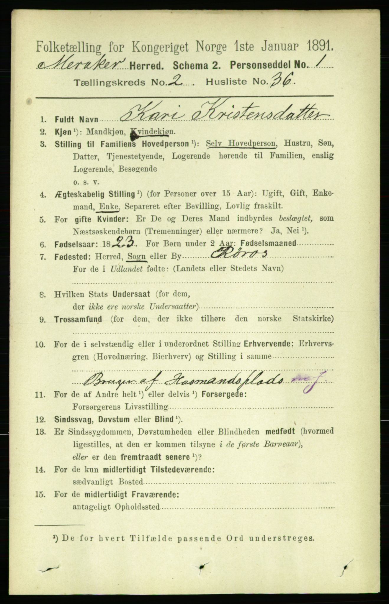 RA, 1891 census for 1711 Meråker, 1891, p. 817