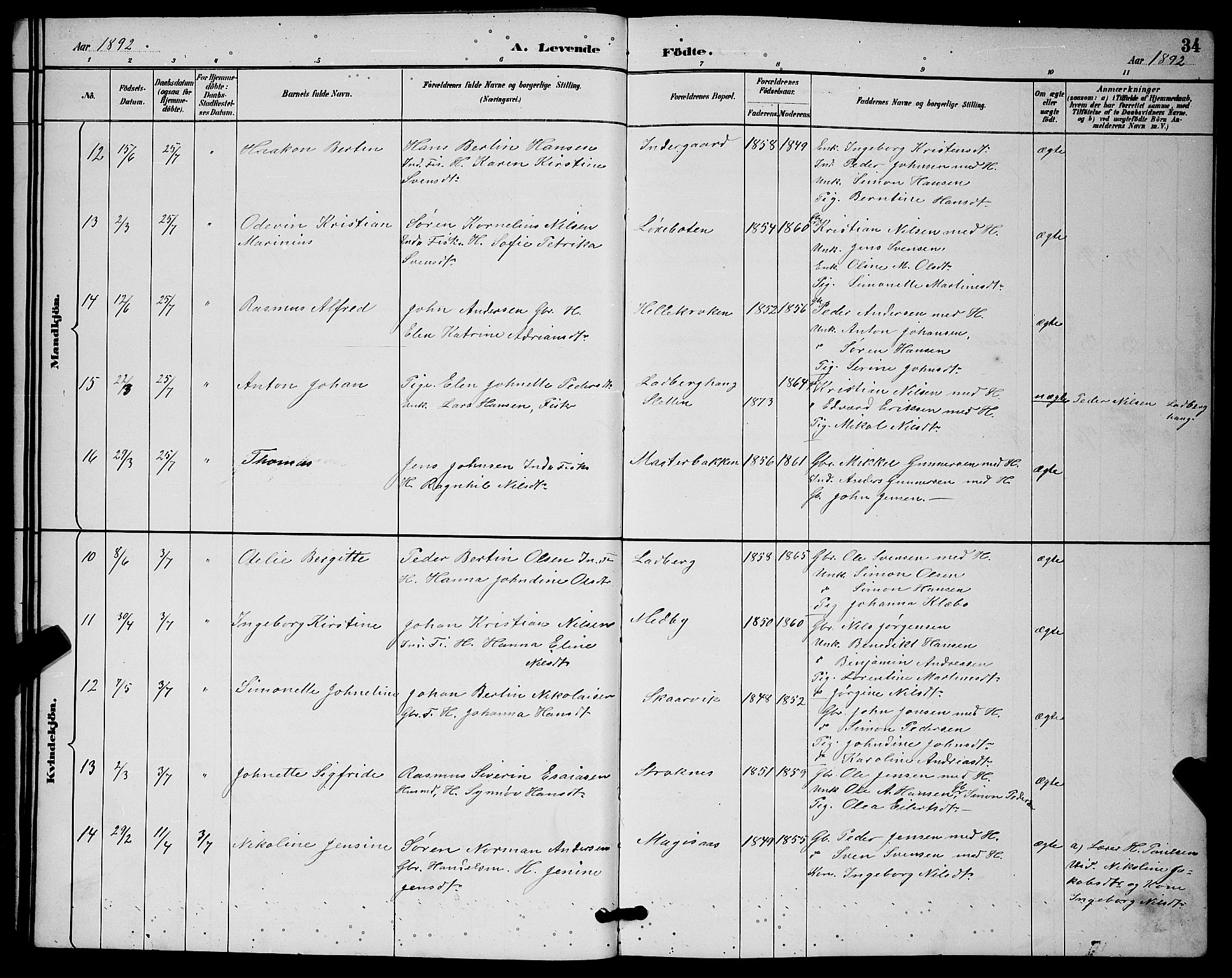 Ibestad sokneprestembete, AV/SATØ-S-0077/H/Ha/Hab/L0015klokker: Parish register (copy) no. 15, 1888-1899, p. 34