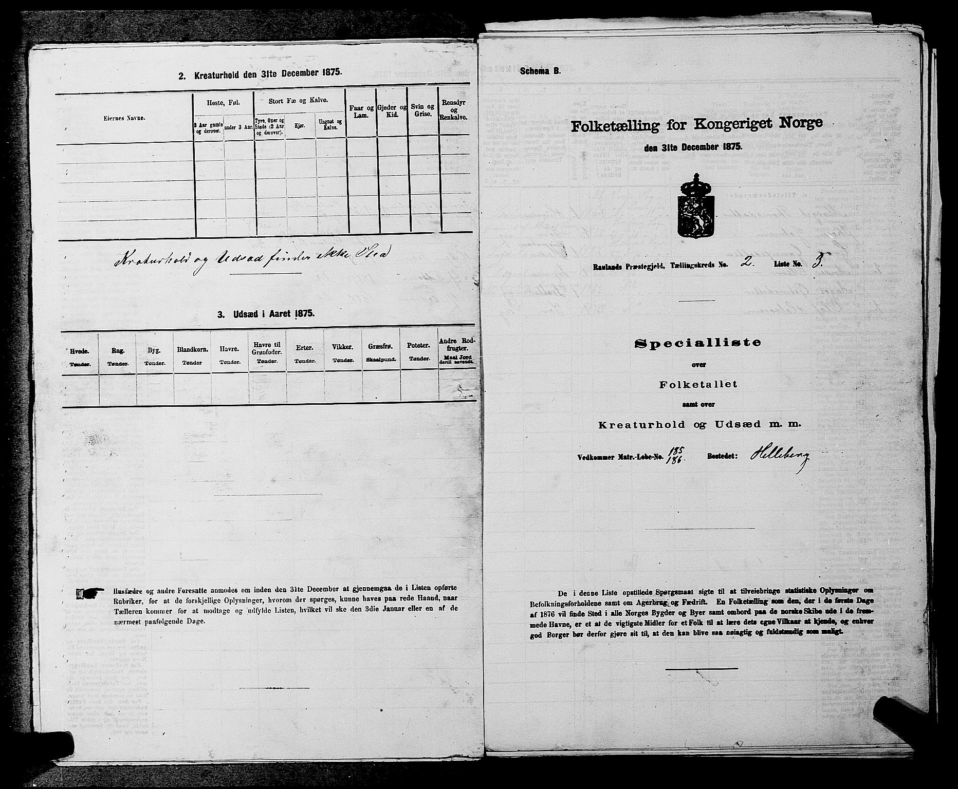 SAKO, 1875 census for 0835P Rauland, 1875, p. 100