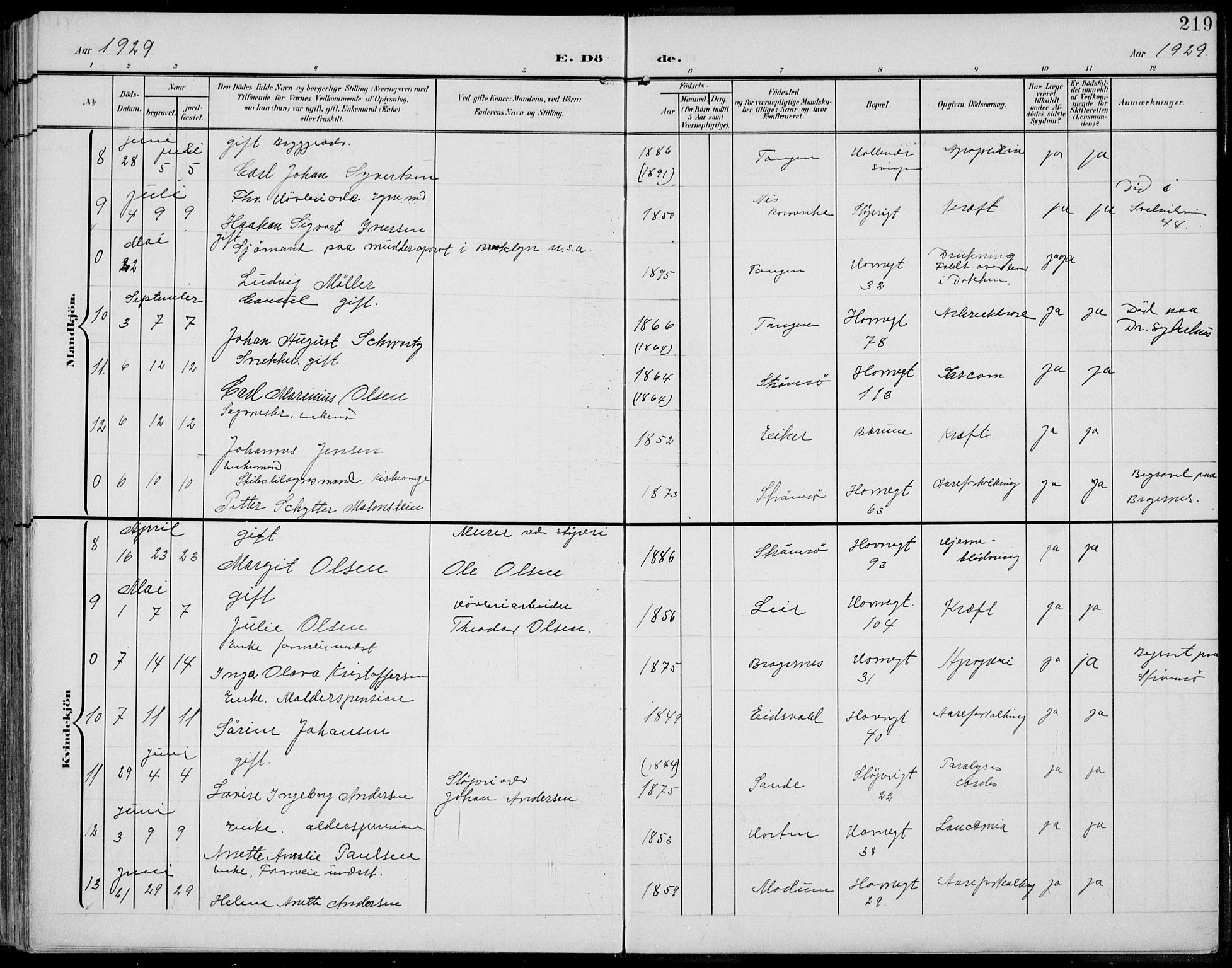 Strømsø kirkebøker, AV/SAKO-A-246/F/Fb/L0008: Parish register (official) no. II 8, 1902-1933, p. 219