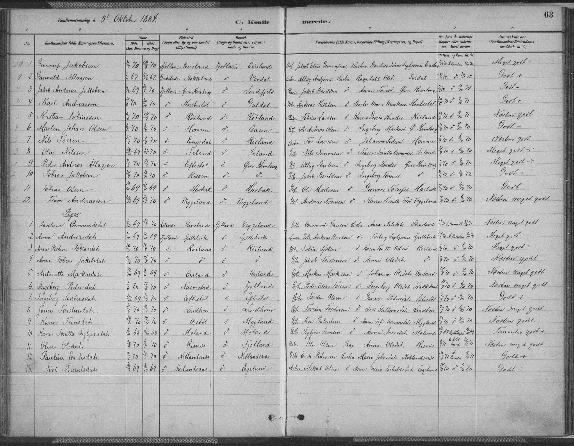 Fjotland sokneprestkontor, SAK/1111-0010/F/Fa/L0002: Parish register (official) no. A 2, 1880-1898, p. 63