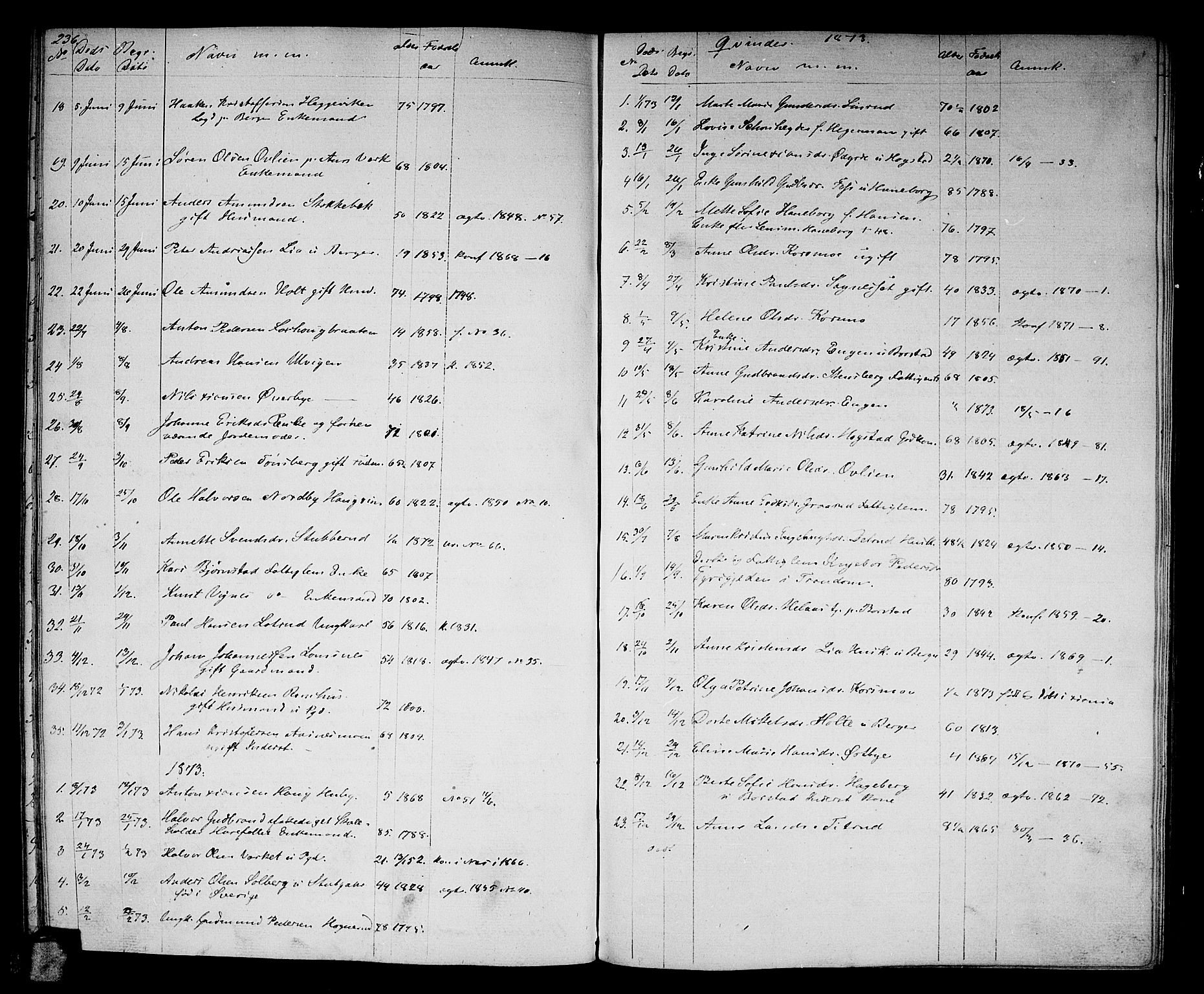 Aurskog prestekontor Kirkebøker, SAO/A-10304a/G/Ga/L0003: Parish register (copy) no. I 3, 1858-1883, p. 236