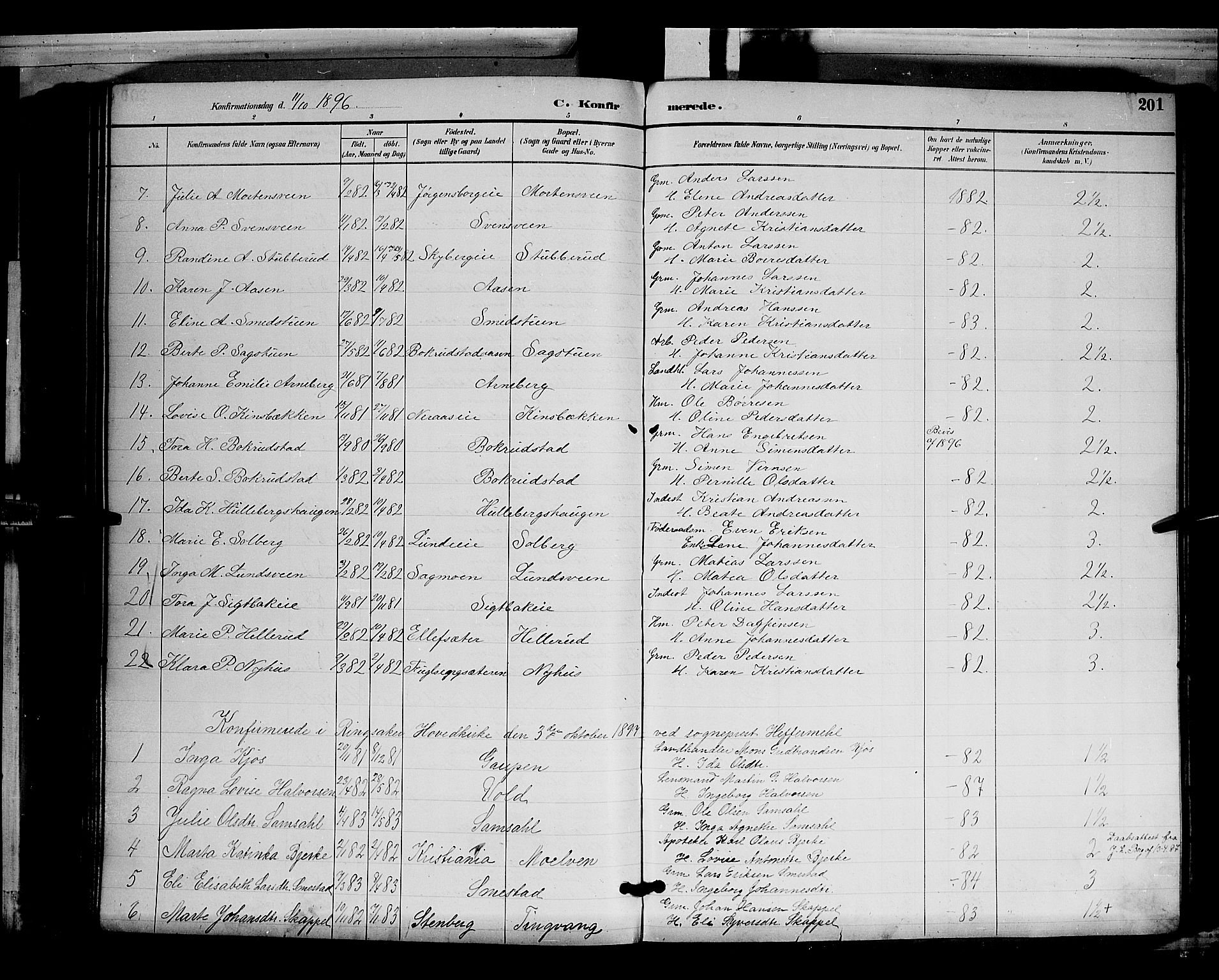 Ringsaker prestekontor, AV/SAH-PREST-014/L/La/L0012: Parish register (copy) no. 12, 1891-1902, p. 201