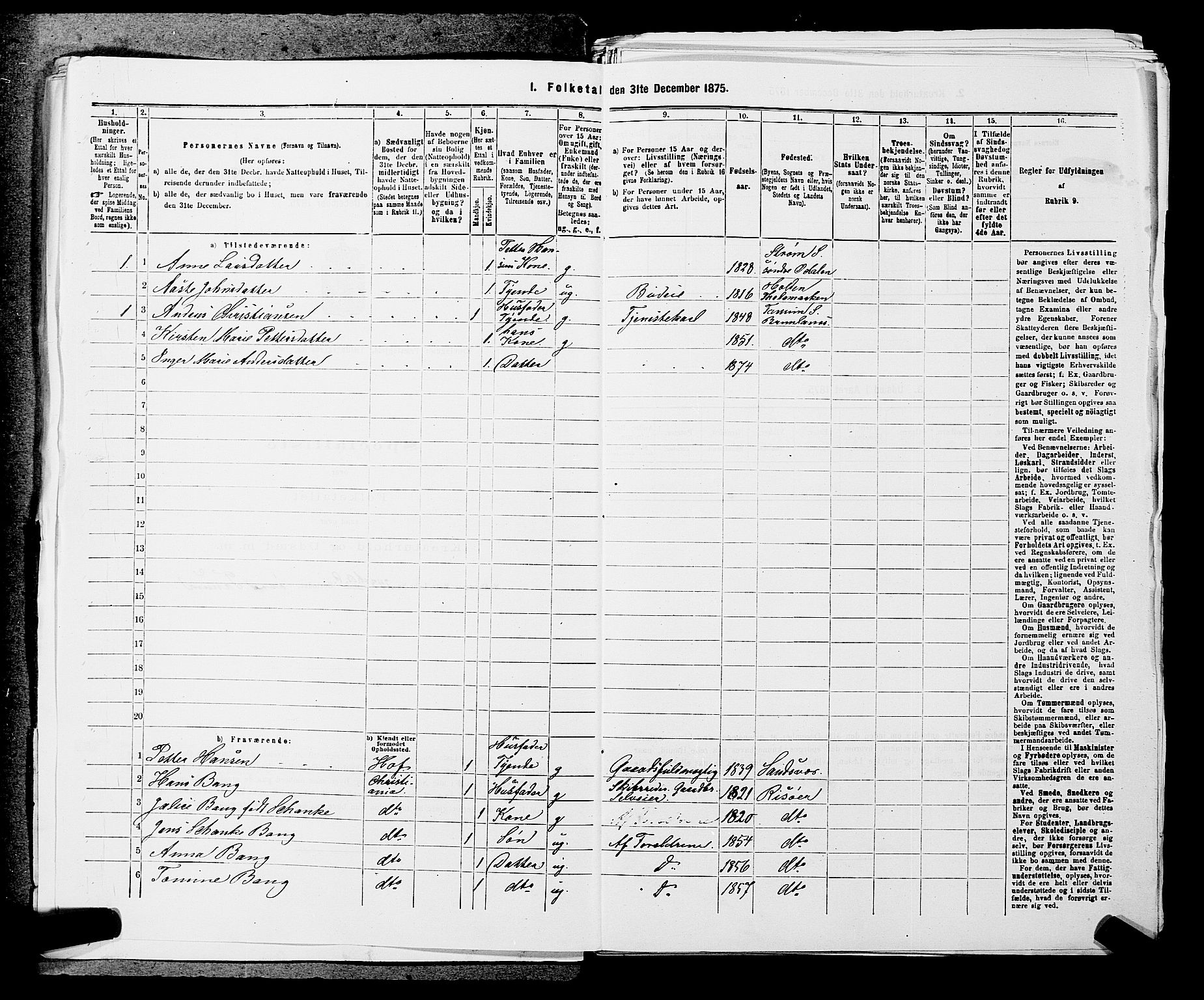 SAKO, 1875 census for 0726P Brunlanes, 1875, p. 329