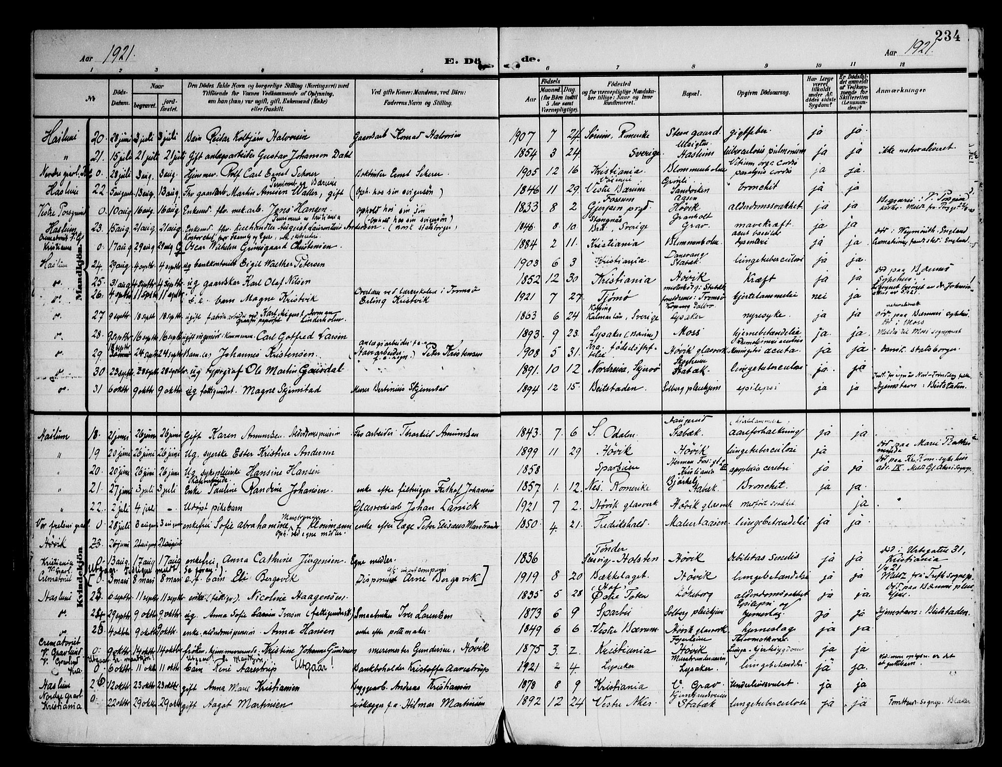 Østre Bærum prestekontor Kirkebøker, AV/SAO-A-10887/F/Fa/L0001: Parish register (official) no. 1, 1905-1924, p. 234