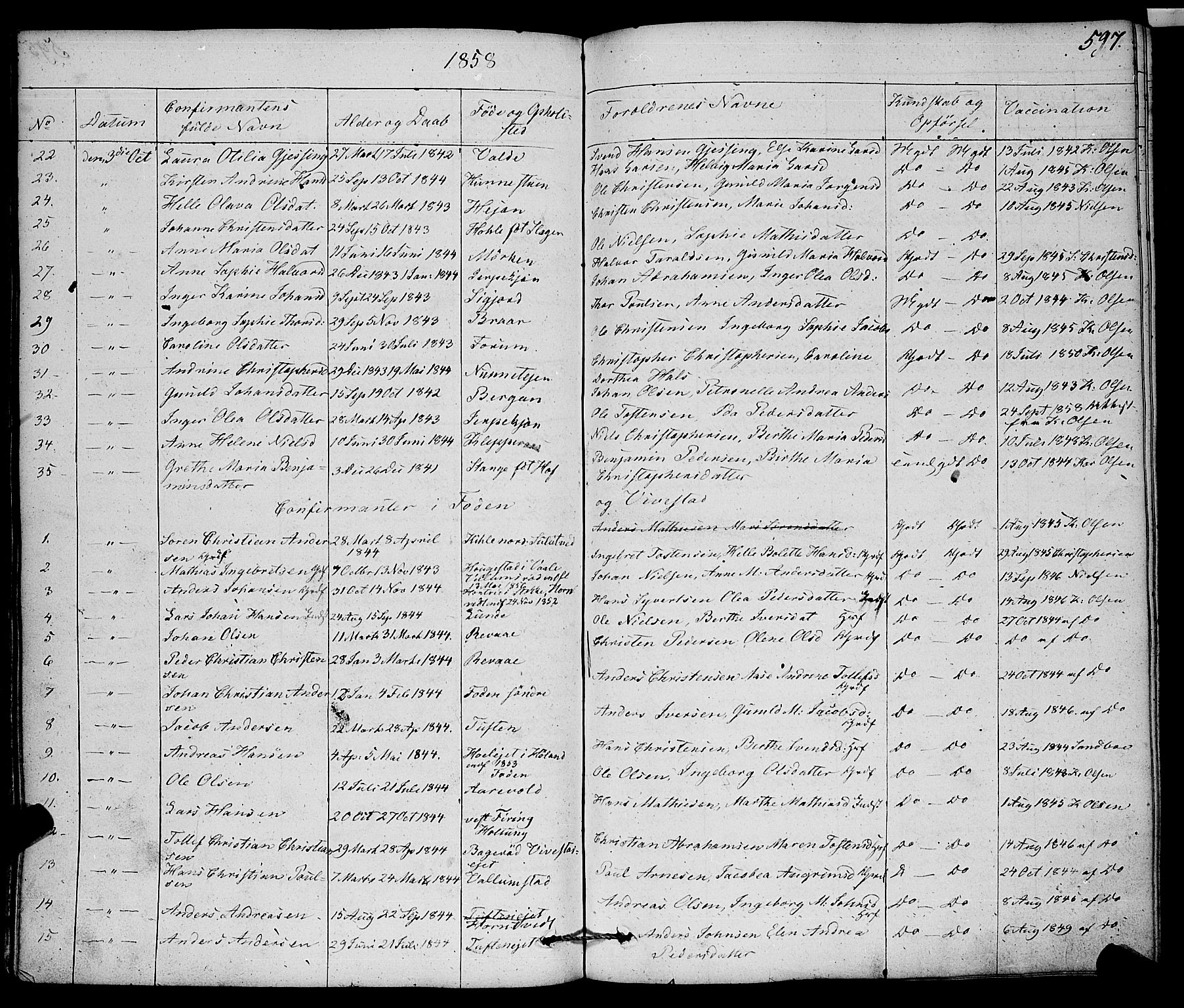 Ramnes kirkebøker, AV/SAKO-A-314/F/Fa/L0005: Parish register (official) no. I 5, 1841-1861, p. 596-597