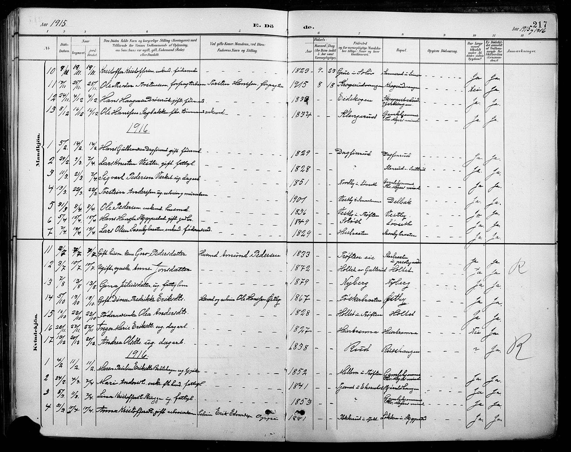 Nord-Odal prestekontor, AV/SAH-PREST-032/H/Ha/Hab/L0003: Parish register (copy) no. 3, 1895-1923, p. 217