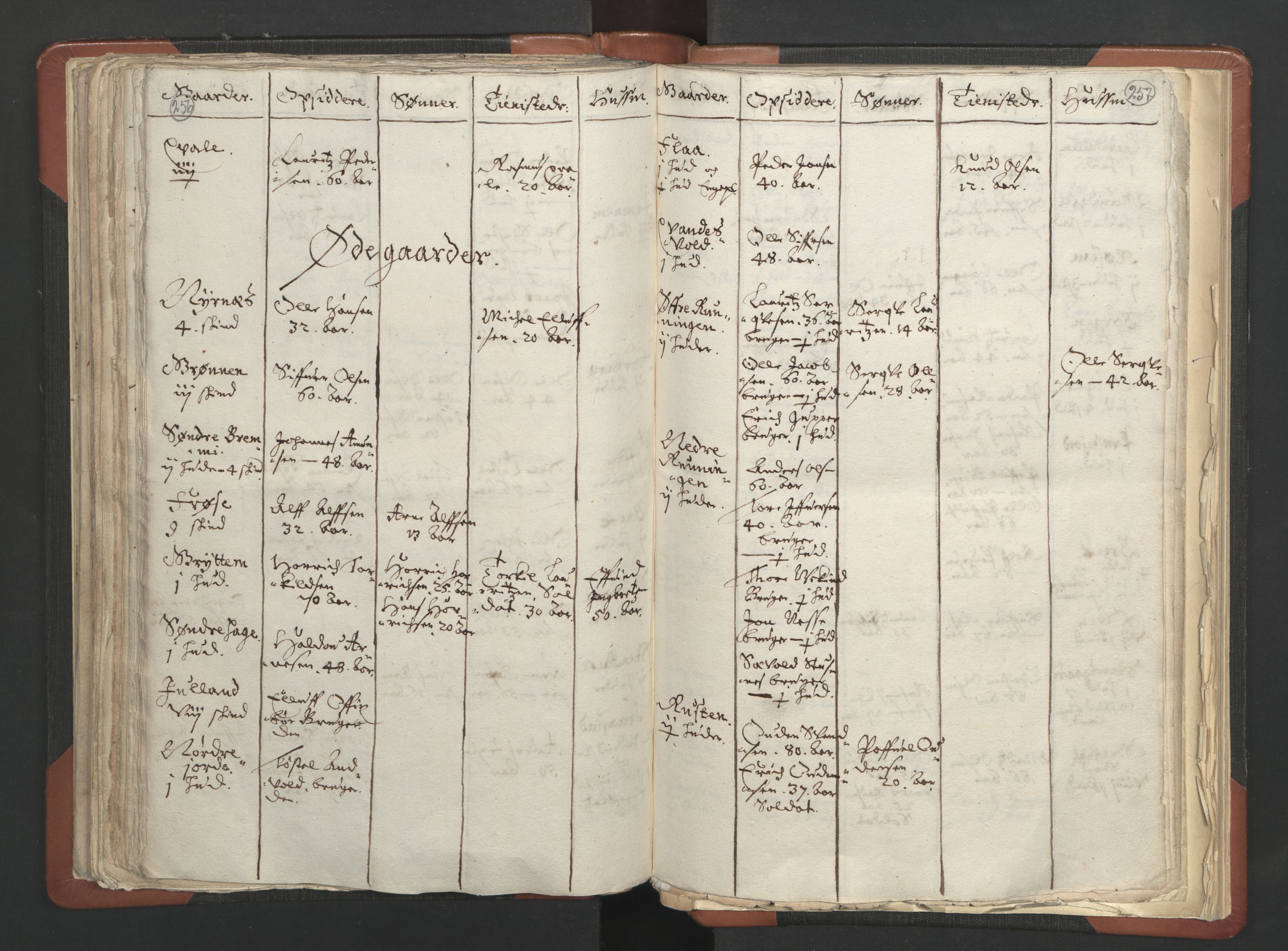 RA, Vicar's Census 1664-1666, no. 6: Gudbrandsdal deanery, 1664-1666, p. 256-257